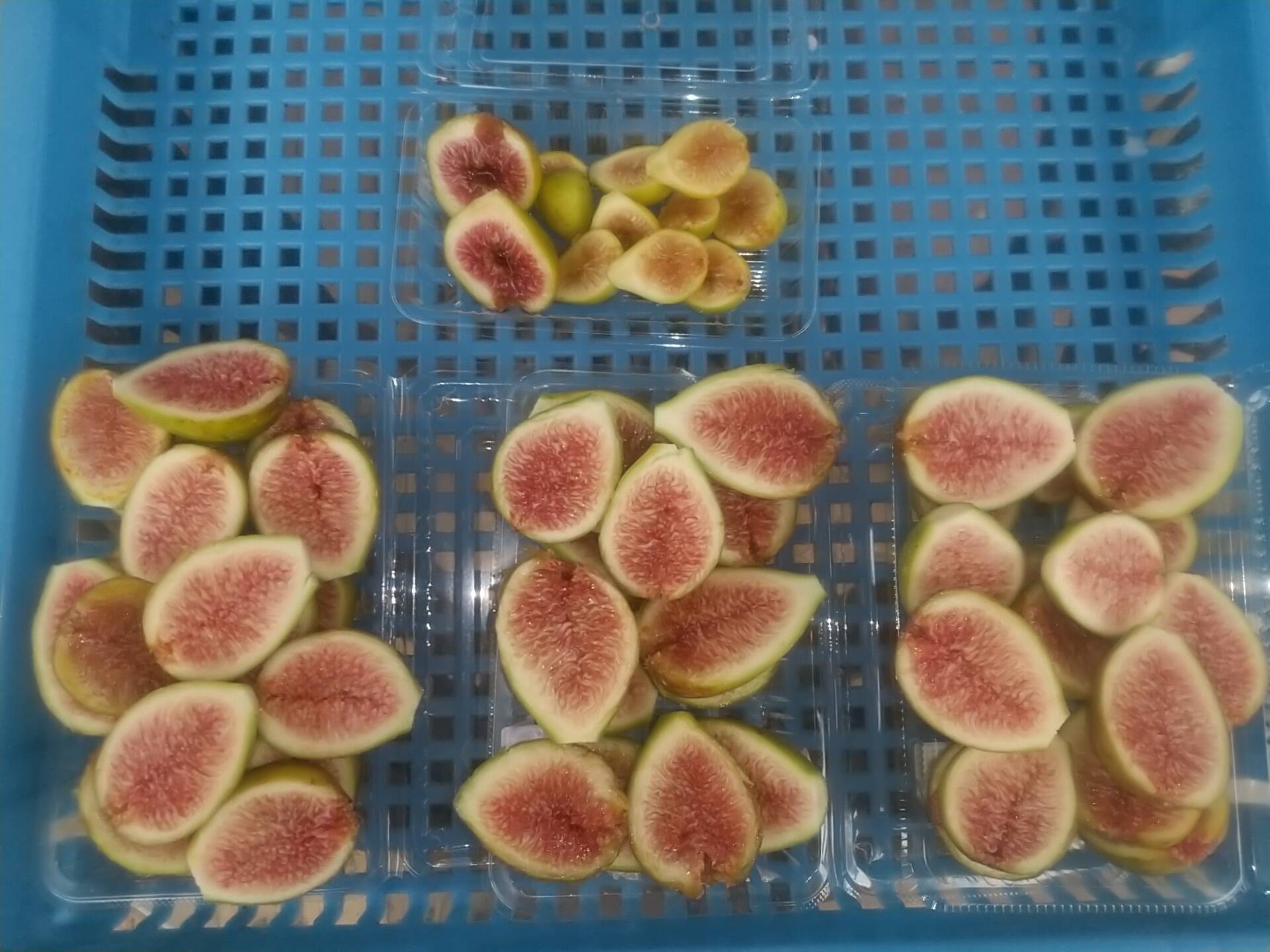 42949c94a42a2650d223d020775fa2