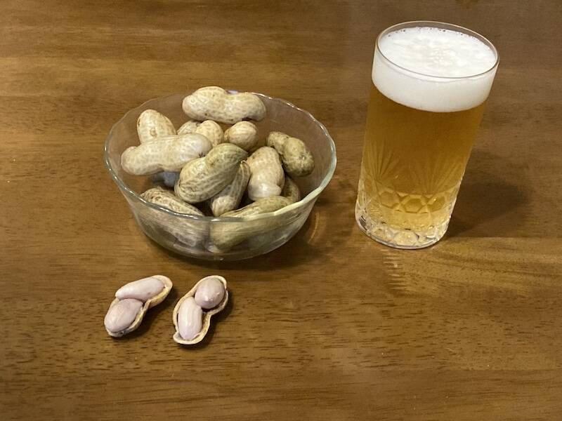 秦野市産 新物 おおまさり 生落花生4K ジャンボ生落花生】おおまさり 神奈川県秦野産1kg：神奈川県産のおお