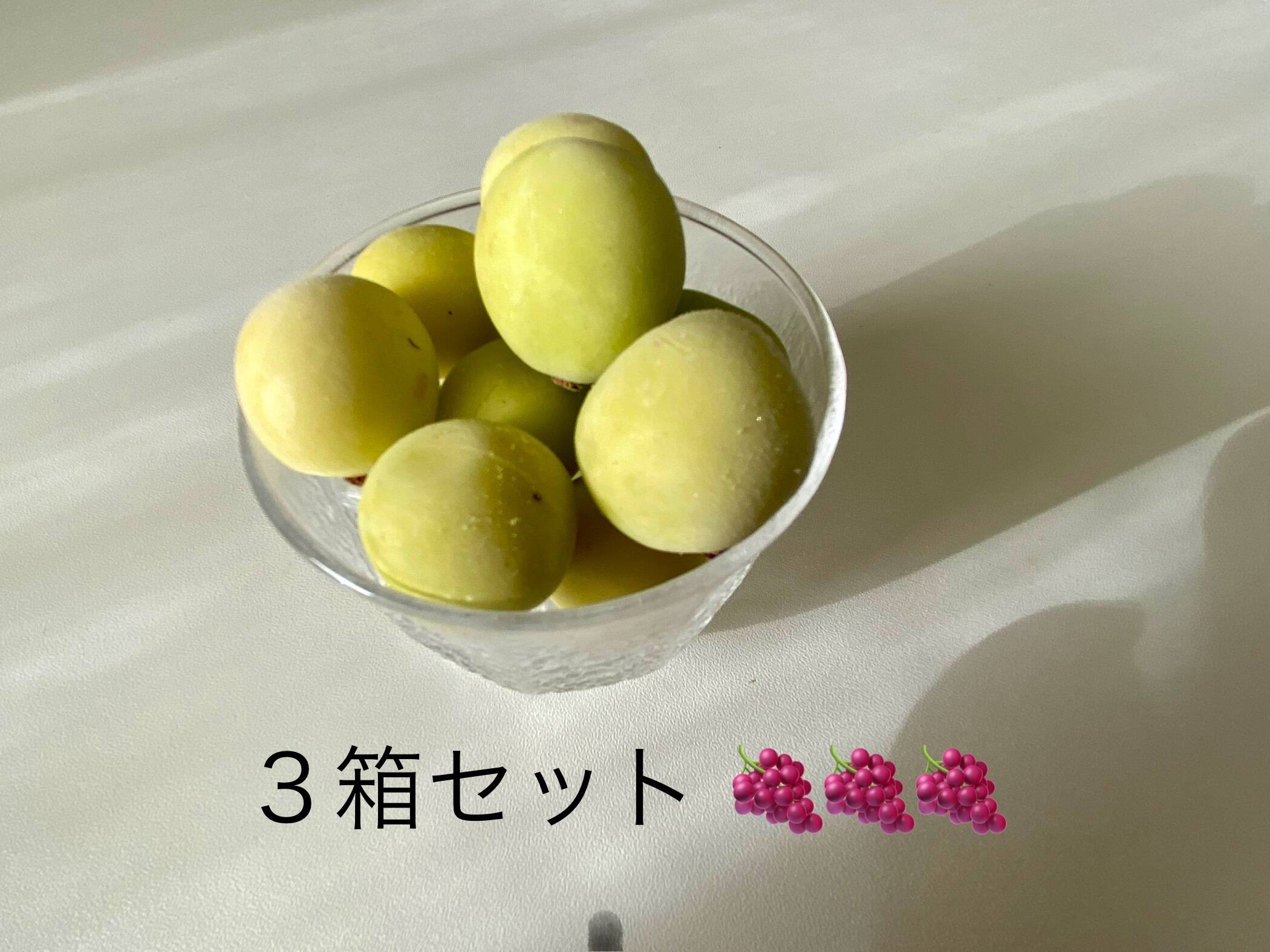 ★タマゴの白身★ シャインマスカット3㎏ ☆タマゴの白身様専用☆ シャインマスカット3㎏