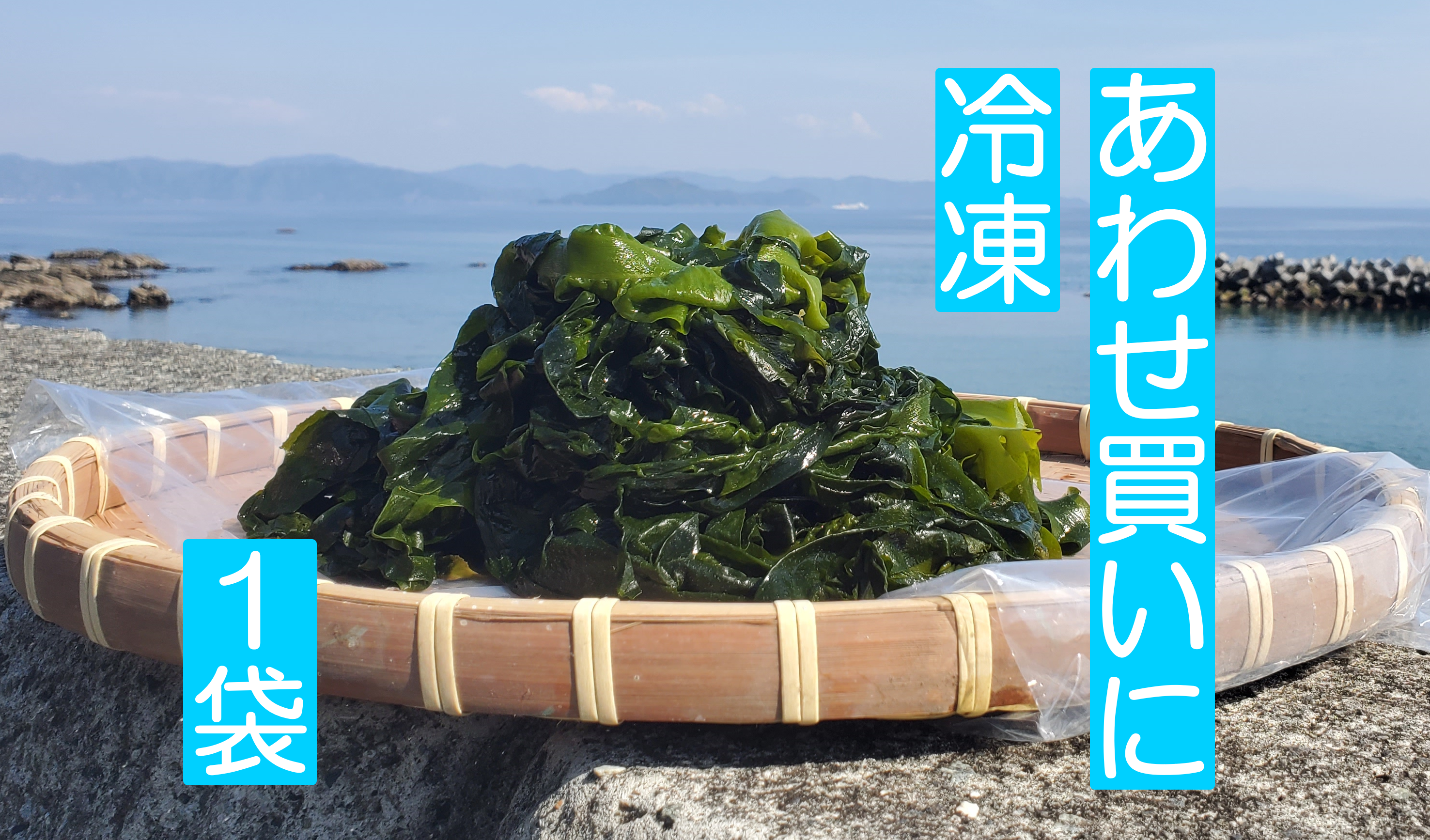 冷凍のあわせ買いに】シャキッ！さだ岬の生わかめ（冷凍）200g×1袋