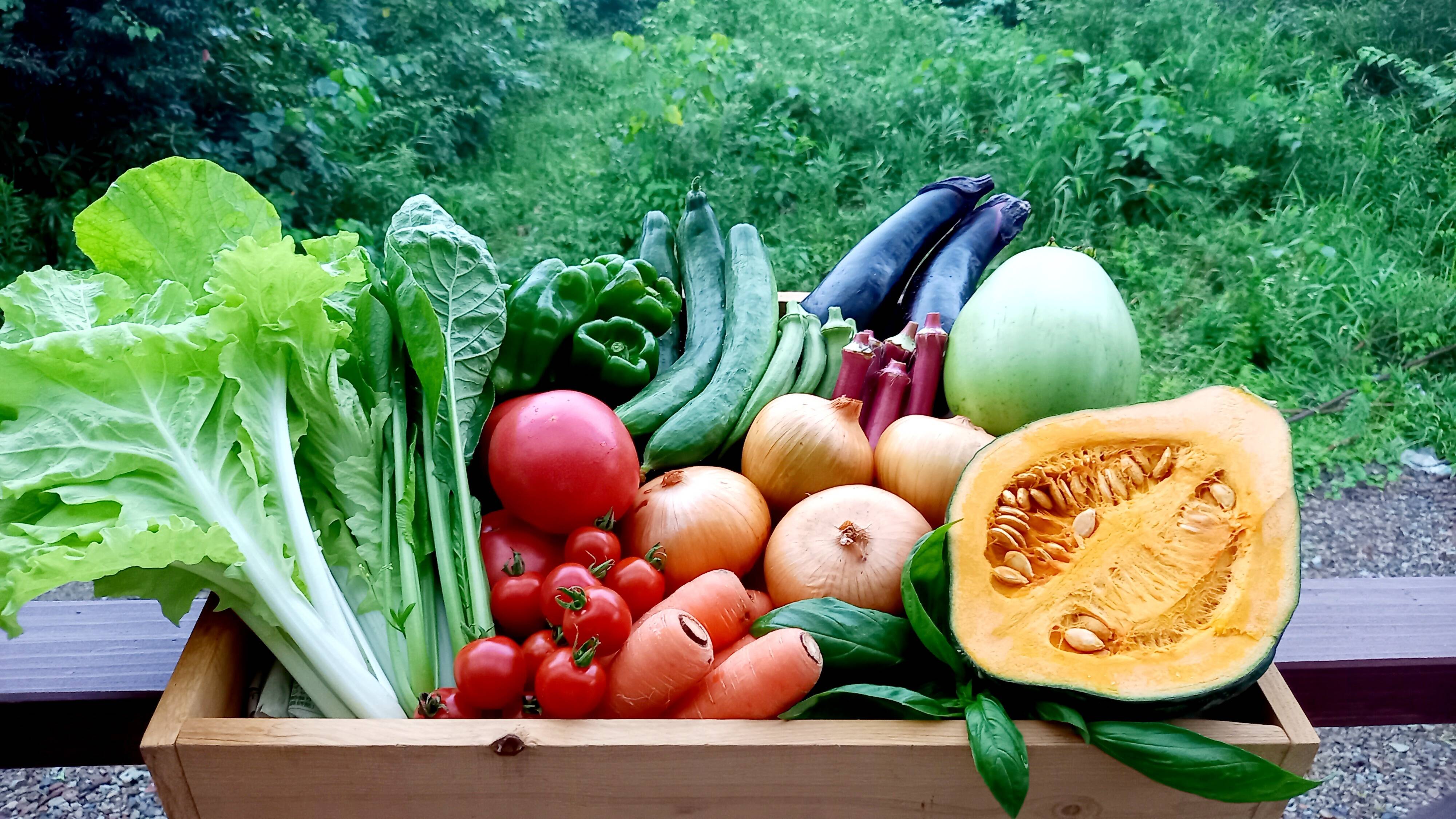 431c0e2613ef99e26a4b2b85982071