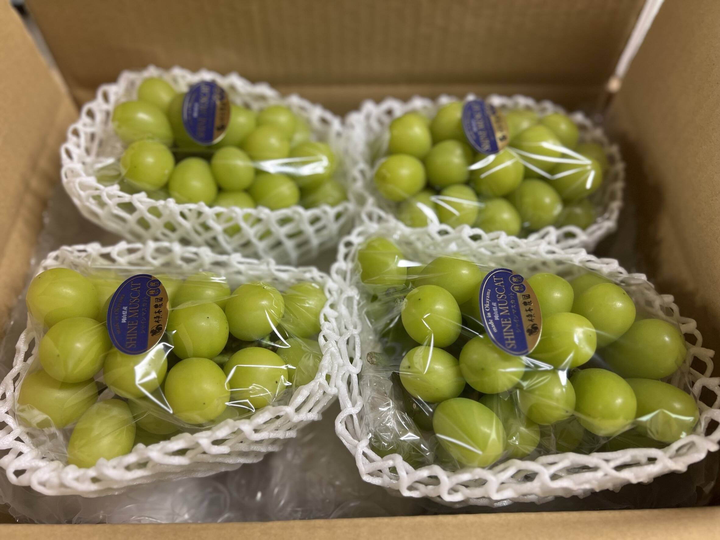 27【島根県産】シャインマスカット約2キロ(3〜5房)×2 濃厚シャインマスカット ご家庭用約2キロ（3〜5房）：岡山県産の