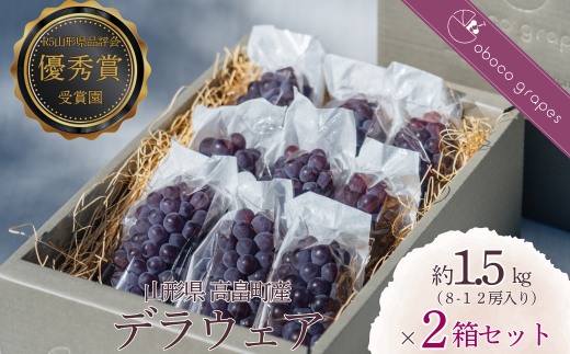 甘さ弾ける！『デラウェア』1.5kg×2箱セット【お中元】【予約販売