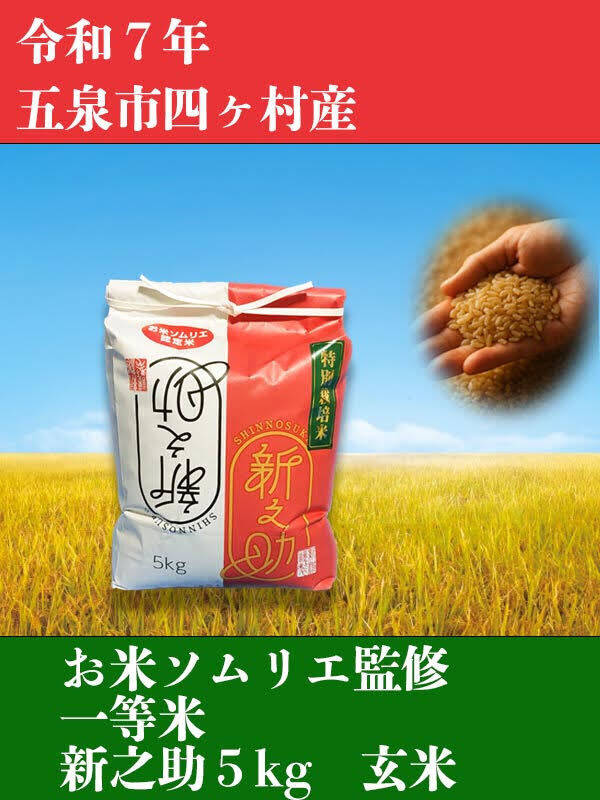 🎀至高の傑作✨お米ソムリエ監修🎯色彩選別済🌈2025年🎊令和7年新潟県