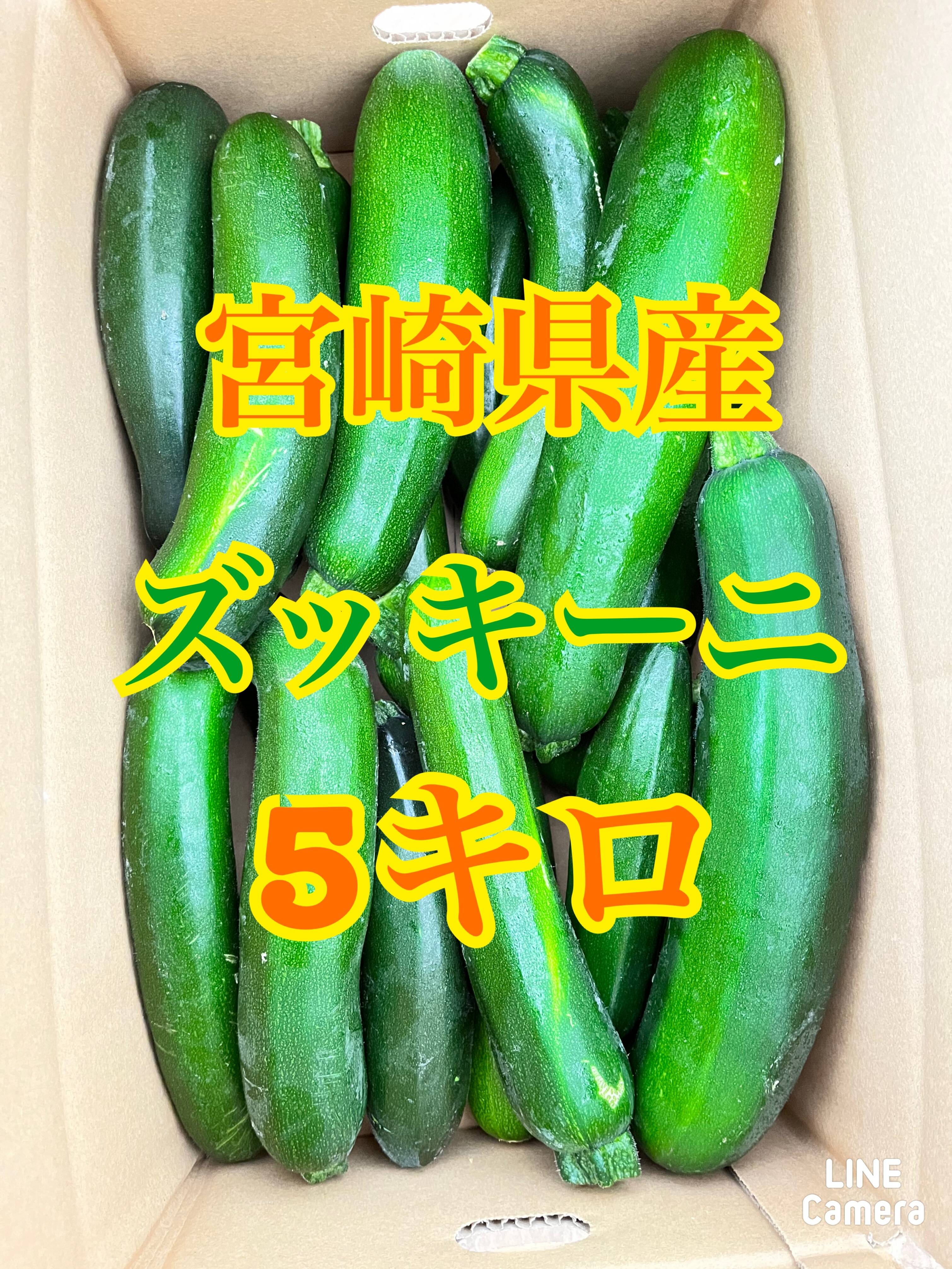 セール！ 野菜 なす 10キロ 宮崎県産 - 通販 - accueilfrancophonemb.com