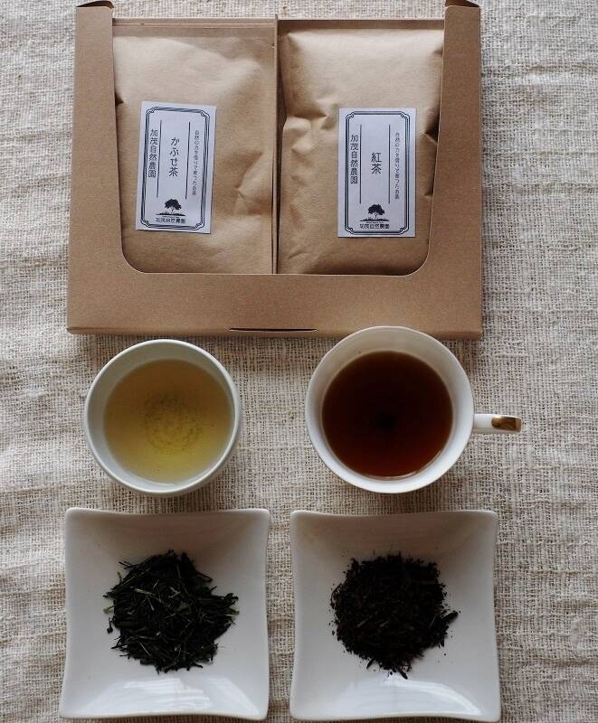お茶おまとめセット Amazon.co.jp: SciAza ティーセット 紅茶 ポット 中国茶器セット