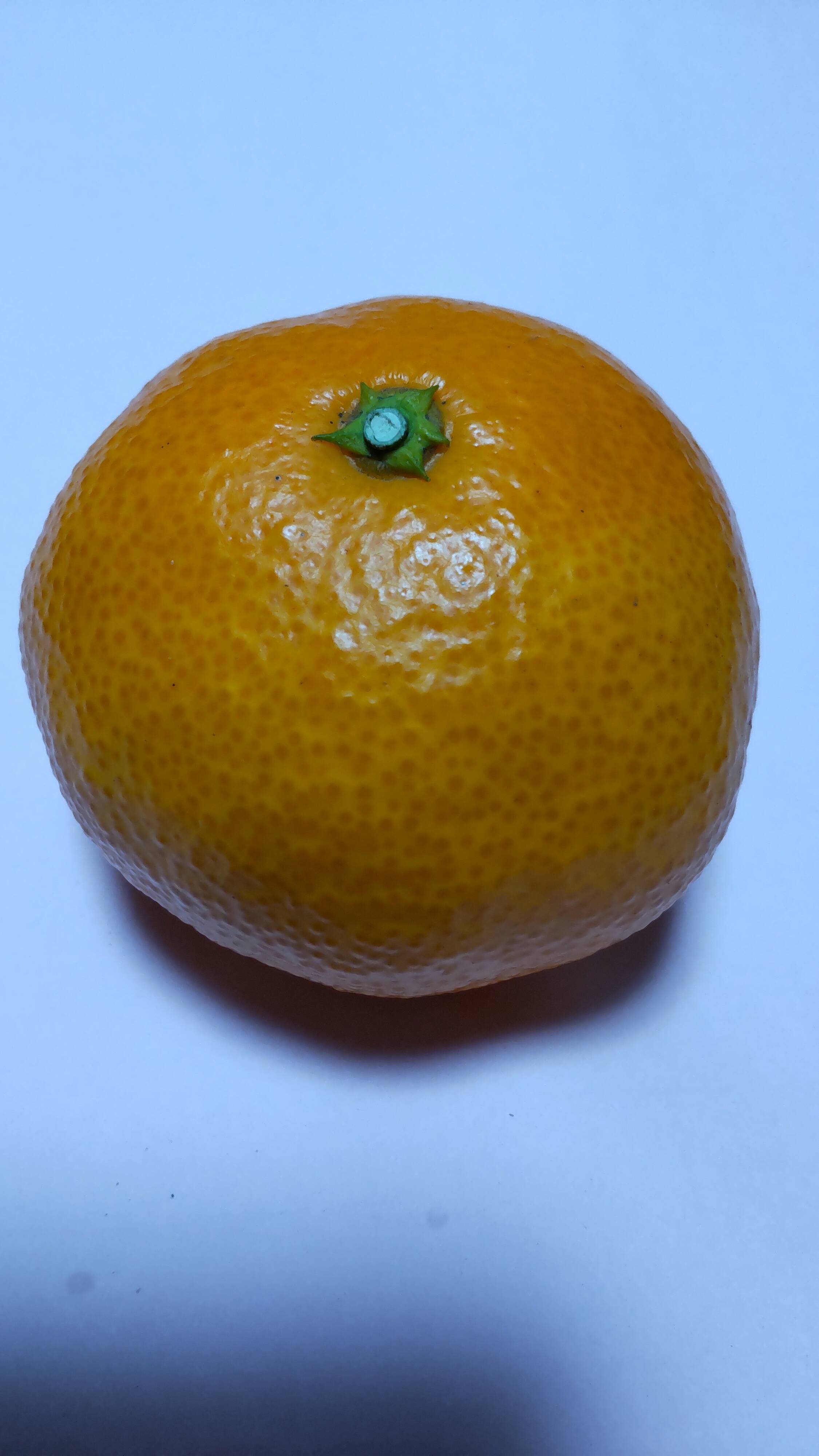 お歳暮、贈り物に最適 広島産いしじ ミカン良品 とレモン5個 合計5kg