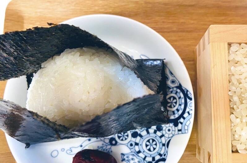 令和6年度新米 湧き水を使って育てた熊本県産ヒノヒカリ(農薬