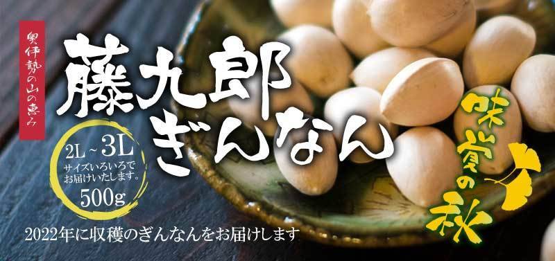 約3倍大粒ぎんなん藤九郎500gふっくらモチモチ！, 絶対食べてみて！うまみたっぷり !