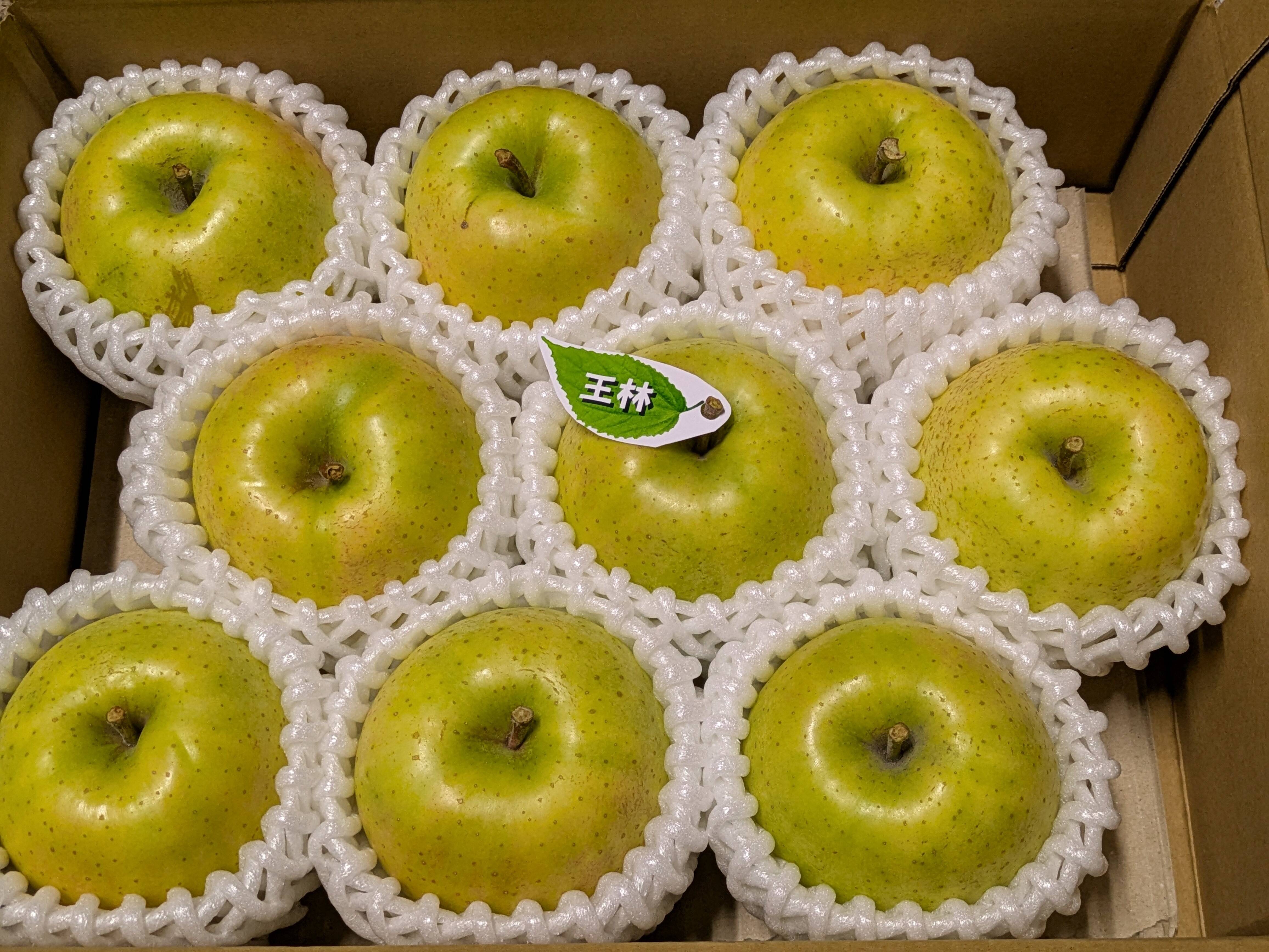 訳あり品* 肥料・堆肥なし栽培りんご「王林」 約2.5kg(8〜10個)：青森