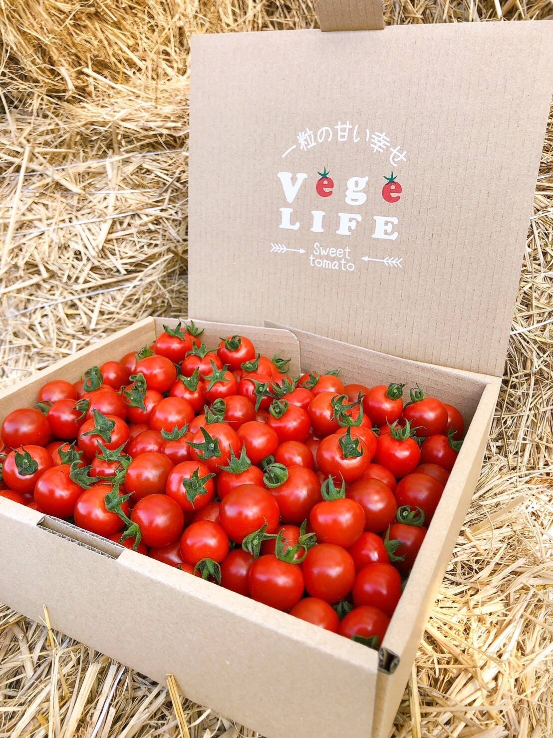 Vege Life へのレビュー・商品：滋賀県｜食べチョク｜産地直送(産直)お