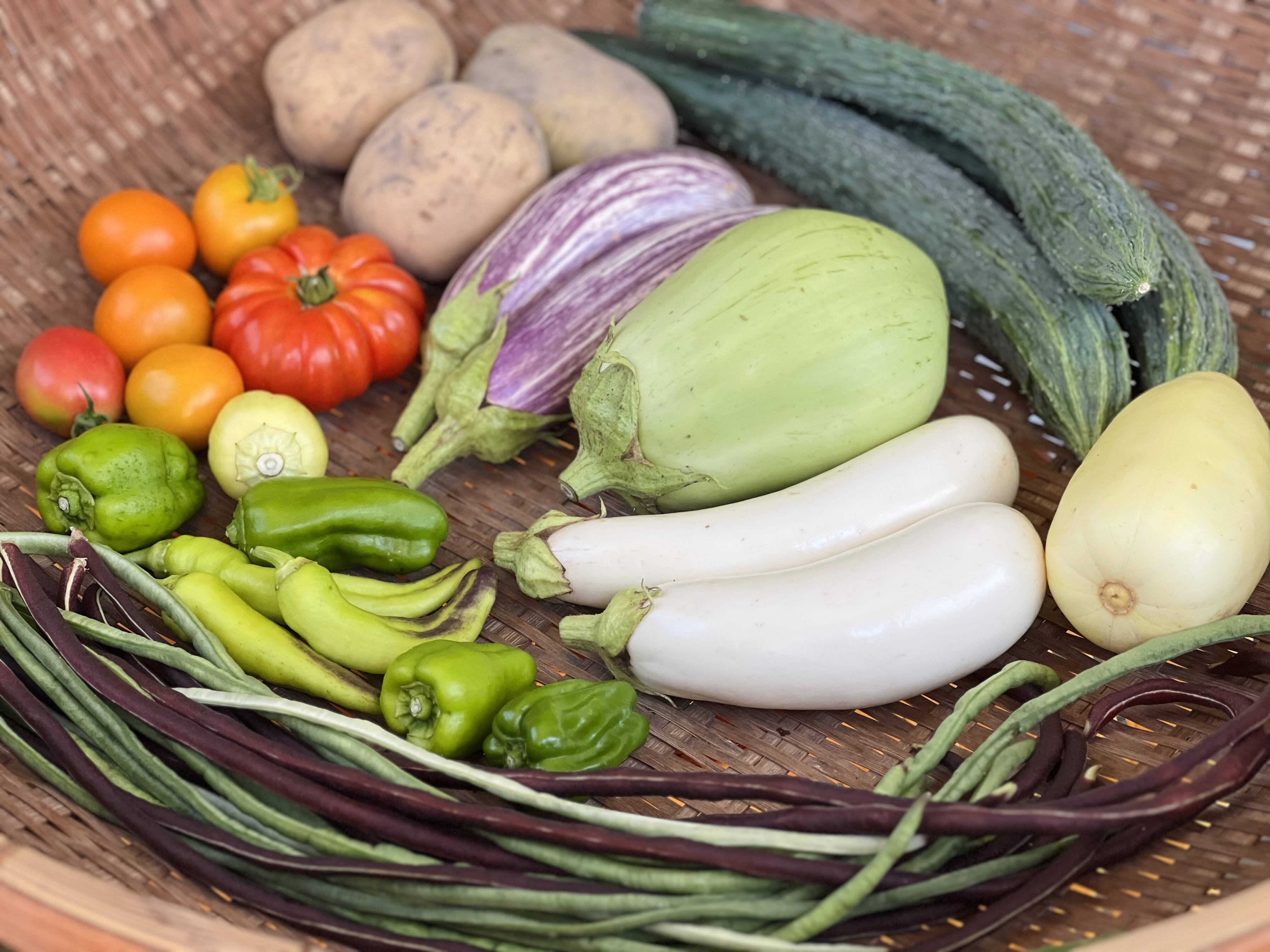 自然農 野菜セット🍀【農薬・肥料・ビニールマルチ不使用／固定種