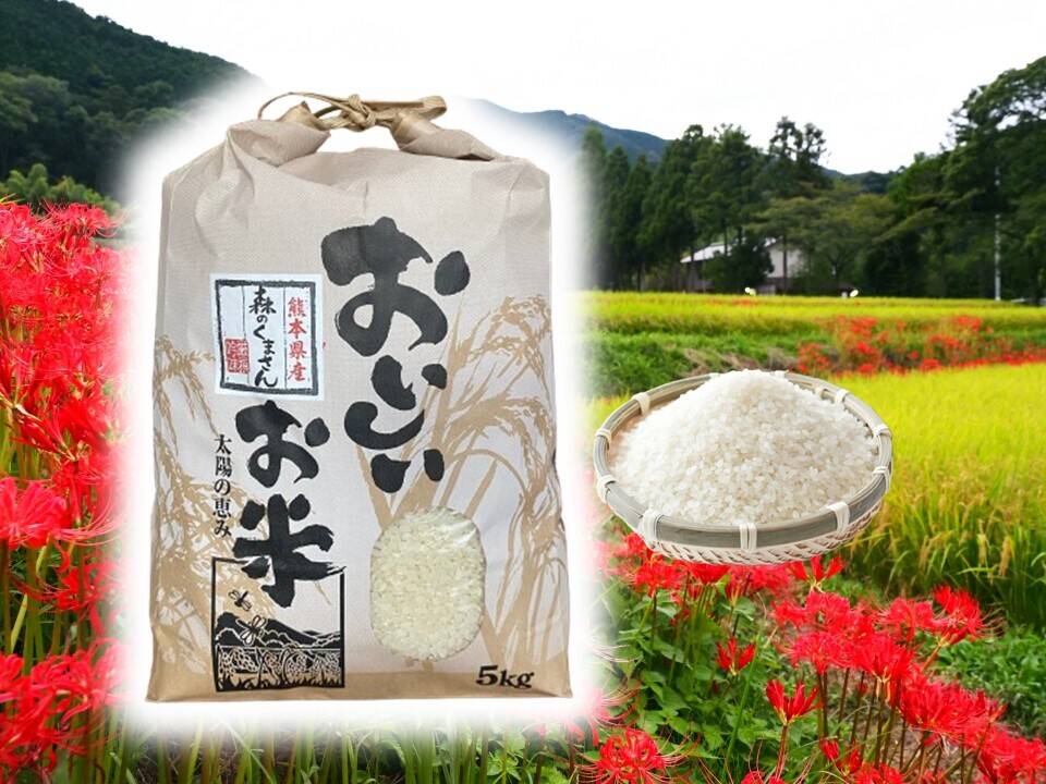 もっちり食感甘い！熊本県産お米（森のくまさん）5kg/袋