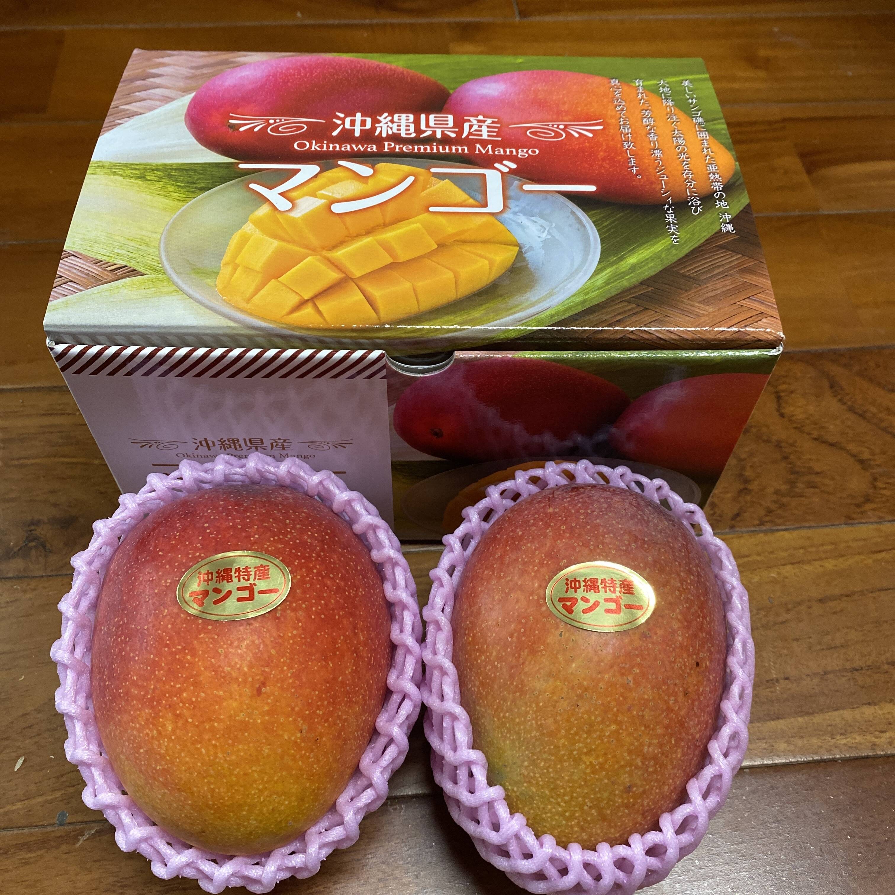 4466094009c188154eb0dde03886a6