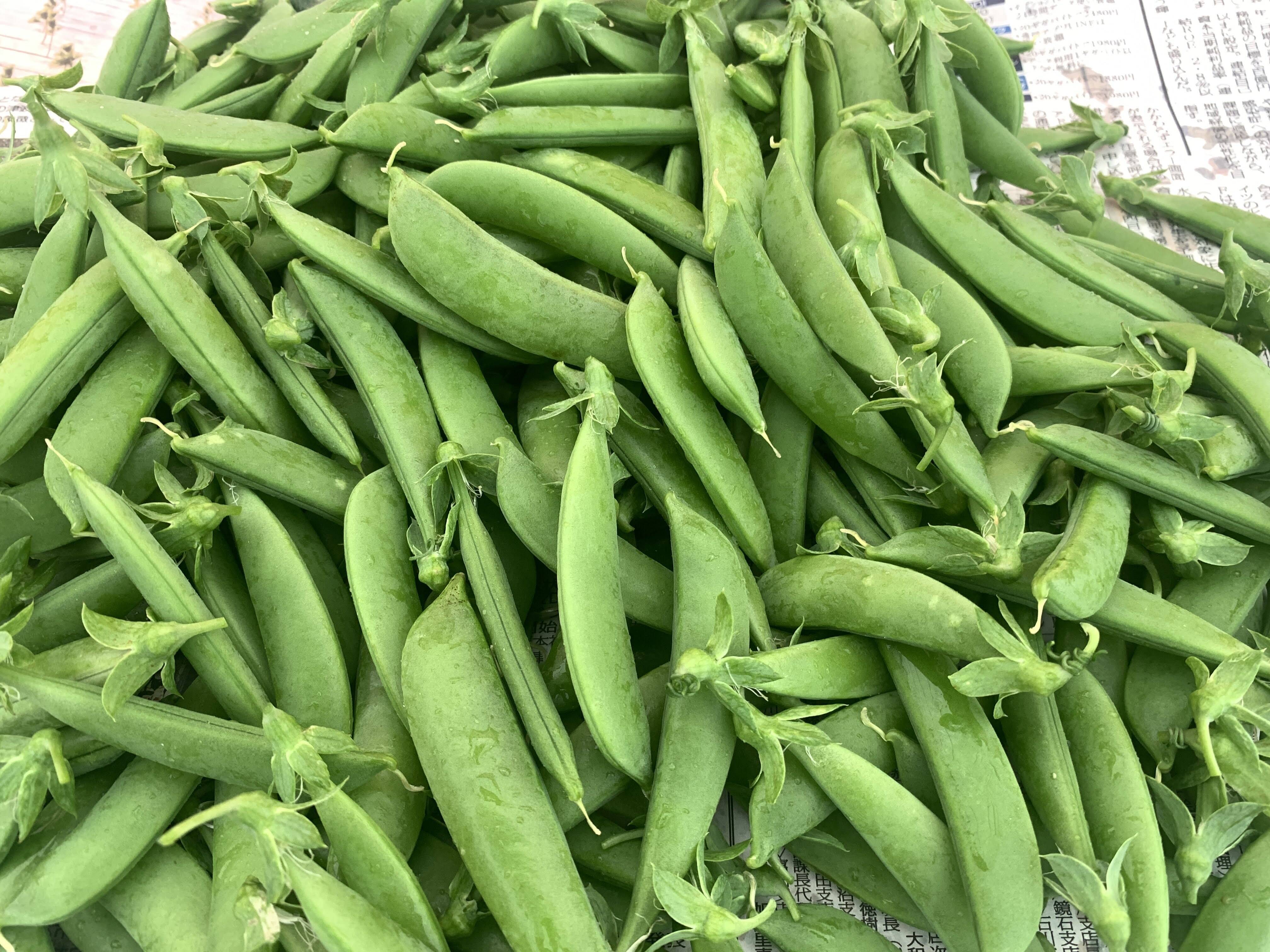 甘くてジューシー！スナップエンドウ 500g：福島県産の豆類｜食べ