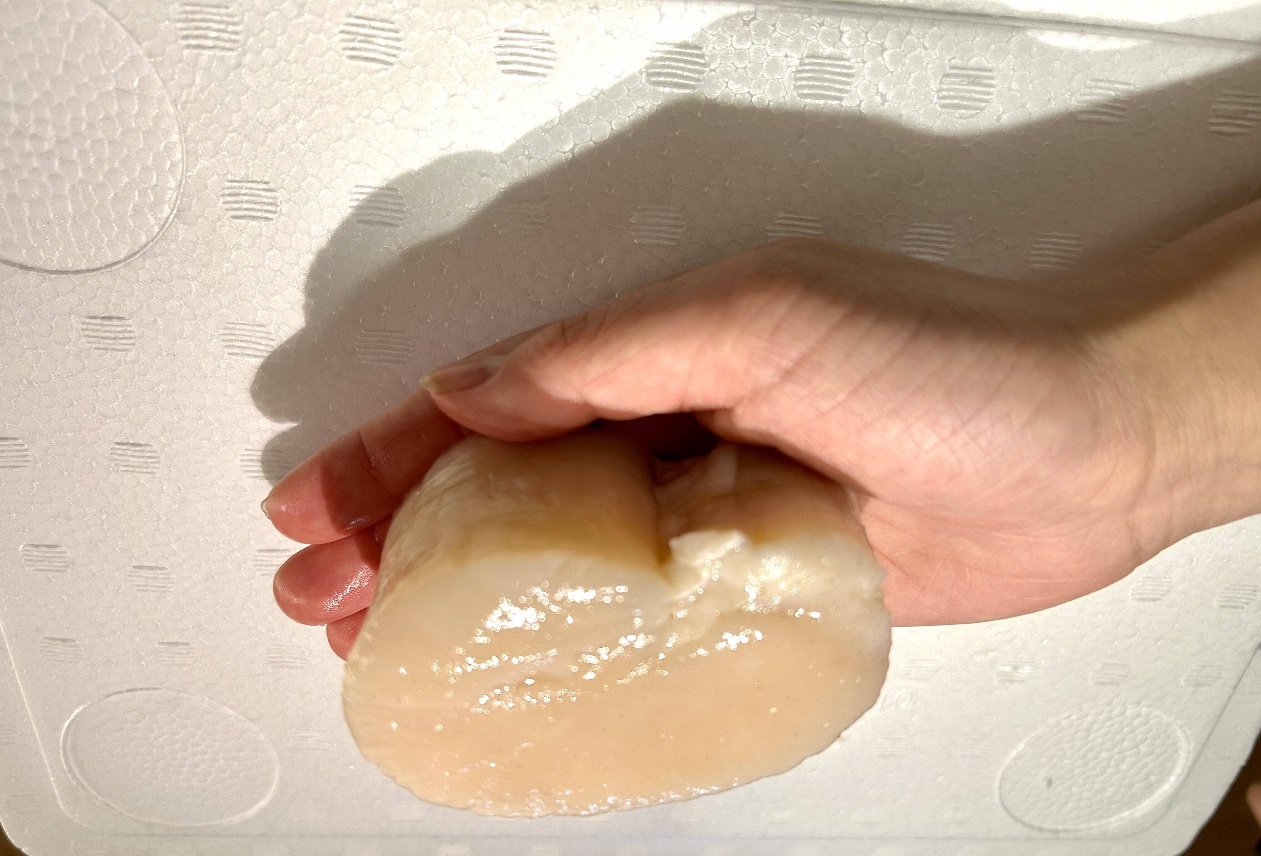 日間賀島産【天然 平貝（タイラギ）】 春が旬，びっくりサイズ、超特大