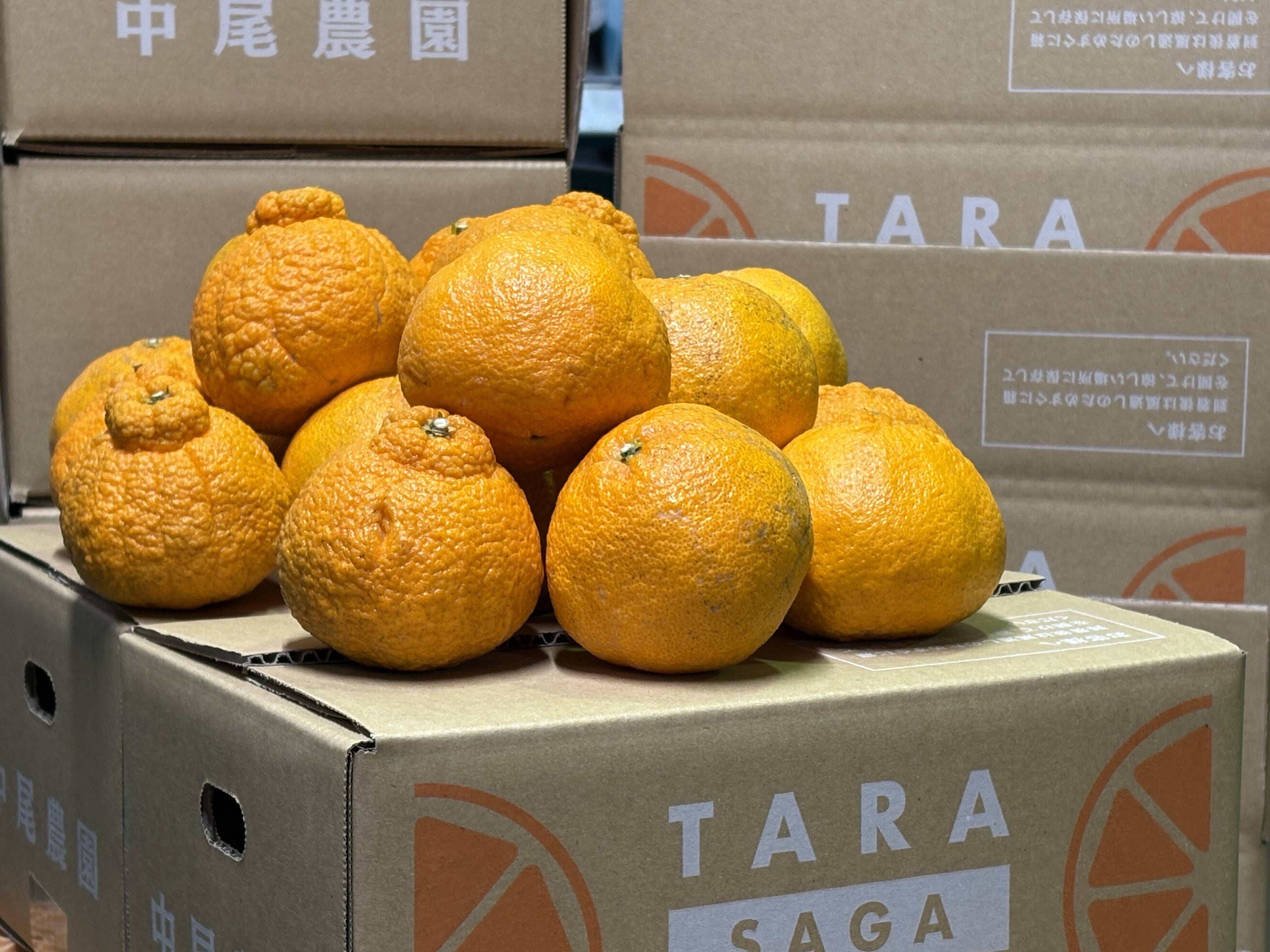 44880ef13db5125e7d877a4af6a494