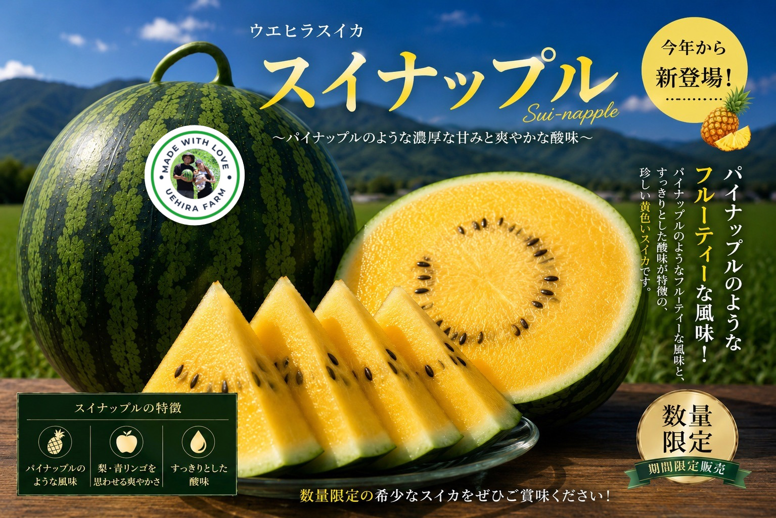 2027年度予約』ウエヒラスイカ スイナップル 7kg〜11kg程：奈良