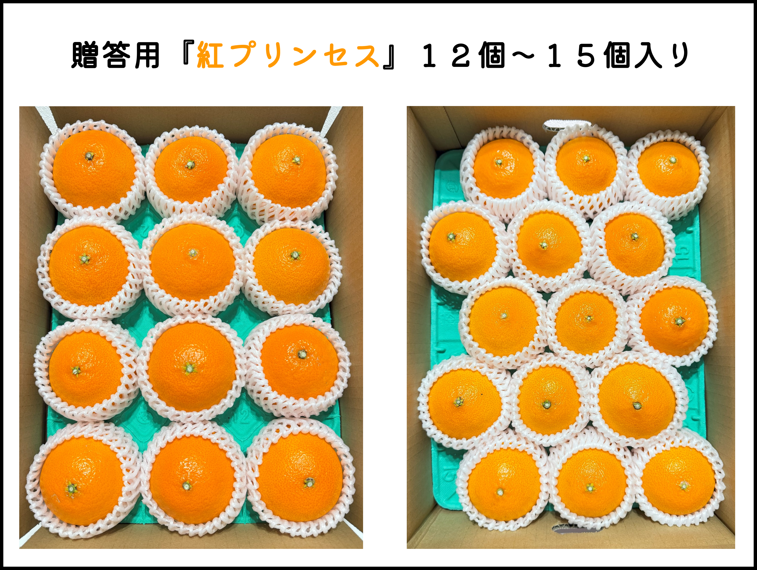 仕入れ成功‼️きたー‼️超高級柑橘プリンセスをボリューム約10kで6980円‼️14 愛媛オリジナル品種の希少柑橘・甘平をお値打ち価格で販売中【訳あり10kg】