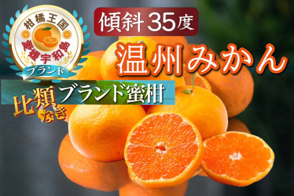 みんなが選ぶお歳暮ギフト 傾斜35度の崖上で実る幻の宇和島ブランド温州みかん12月上旬発送【お得な大容量約3kg】【冬ギフト】：愛媛県産のみかん ・柑橘類｜食べチョク｜産地直送(産直)お取り寄せ通販 - 農家・漁師から