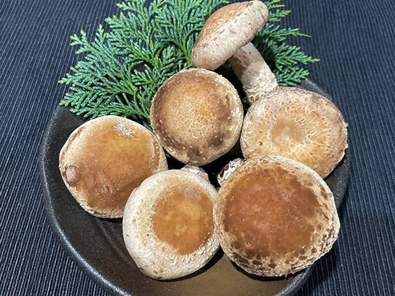 夏ギフト】極上の生椎茸＆原木乾燥椎茸 花どんこセット：埼玉県