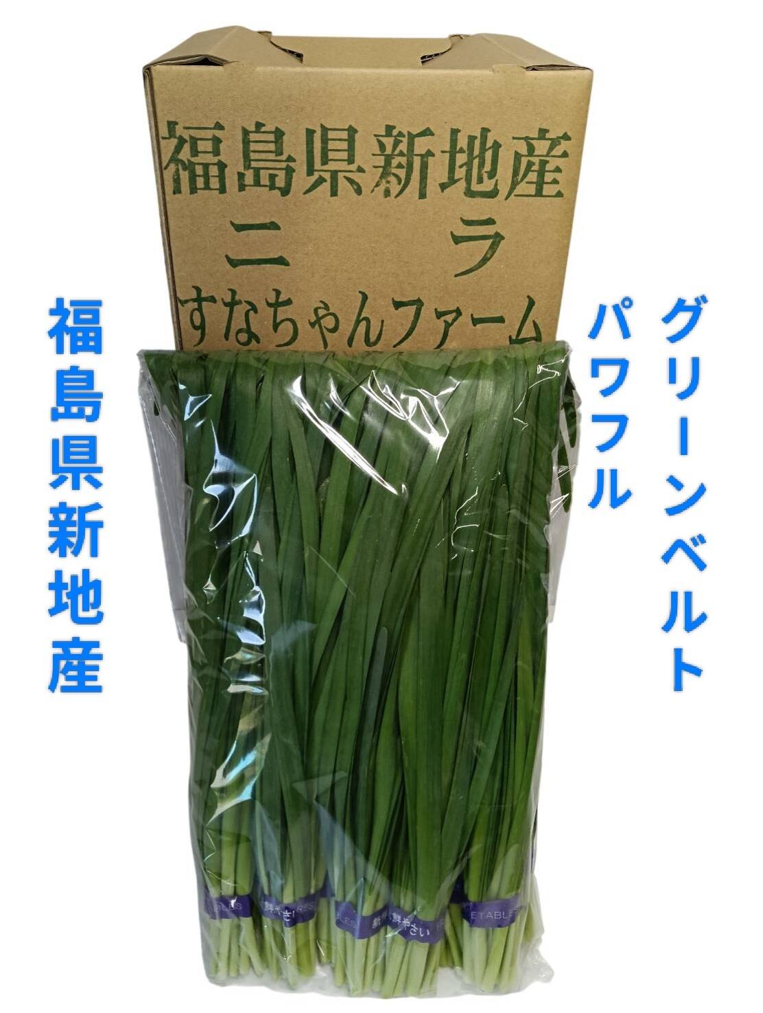 ニラ100g×10束セット(1キロ)：福島県産のパワフルグリーンベルト｜食べ