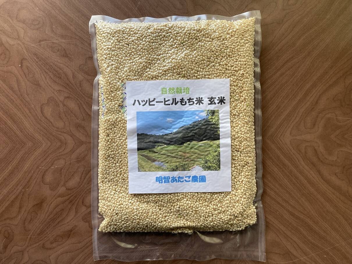 【自然栽培】ハッピーヒルもち米　玄米950ｇ　農薬不使用・無肥料栽培　令和5年　岐阜県産【クリックポスト・送料差額割引中】