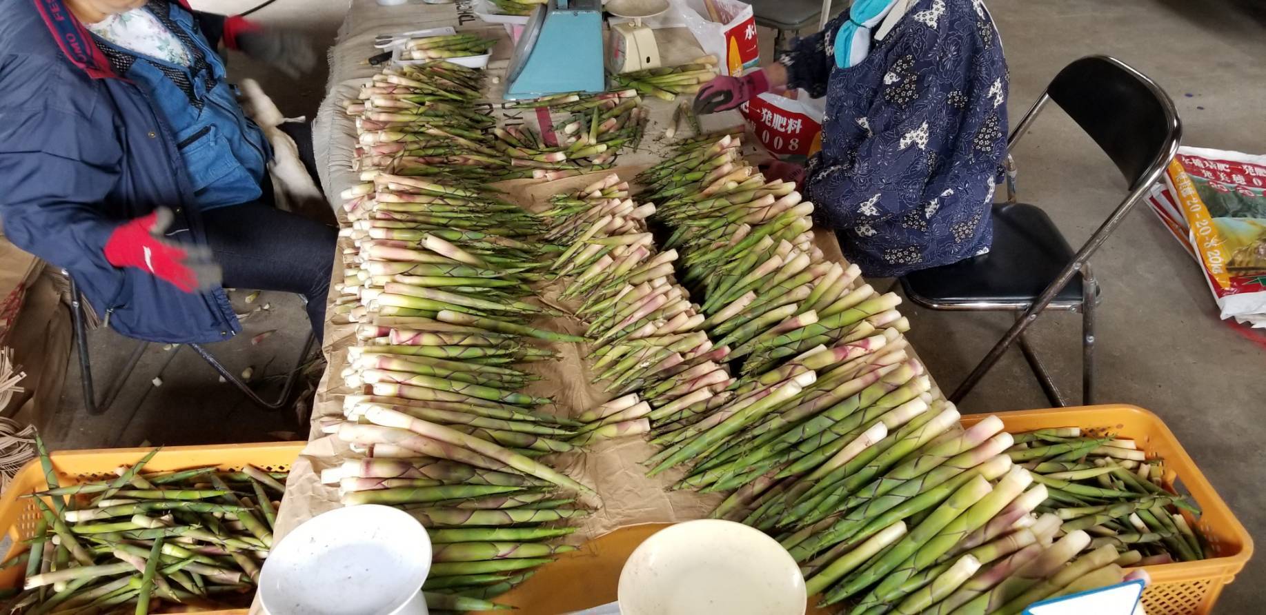 4514364303fbbed21e914820ea3564