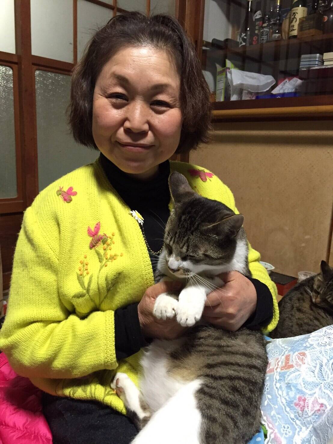スズキねこ農園