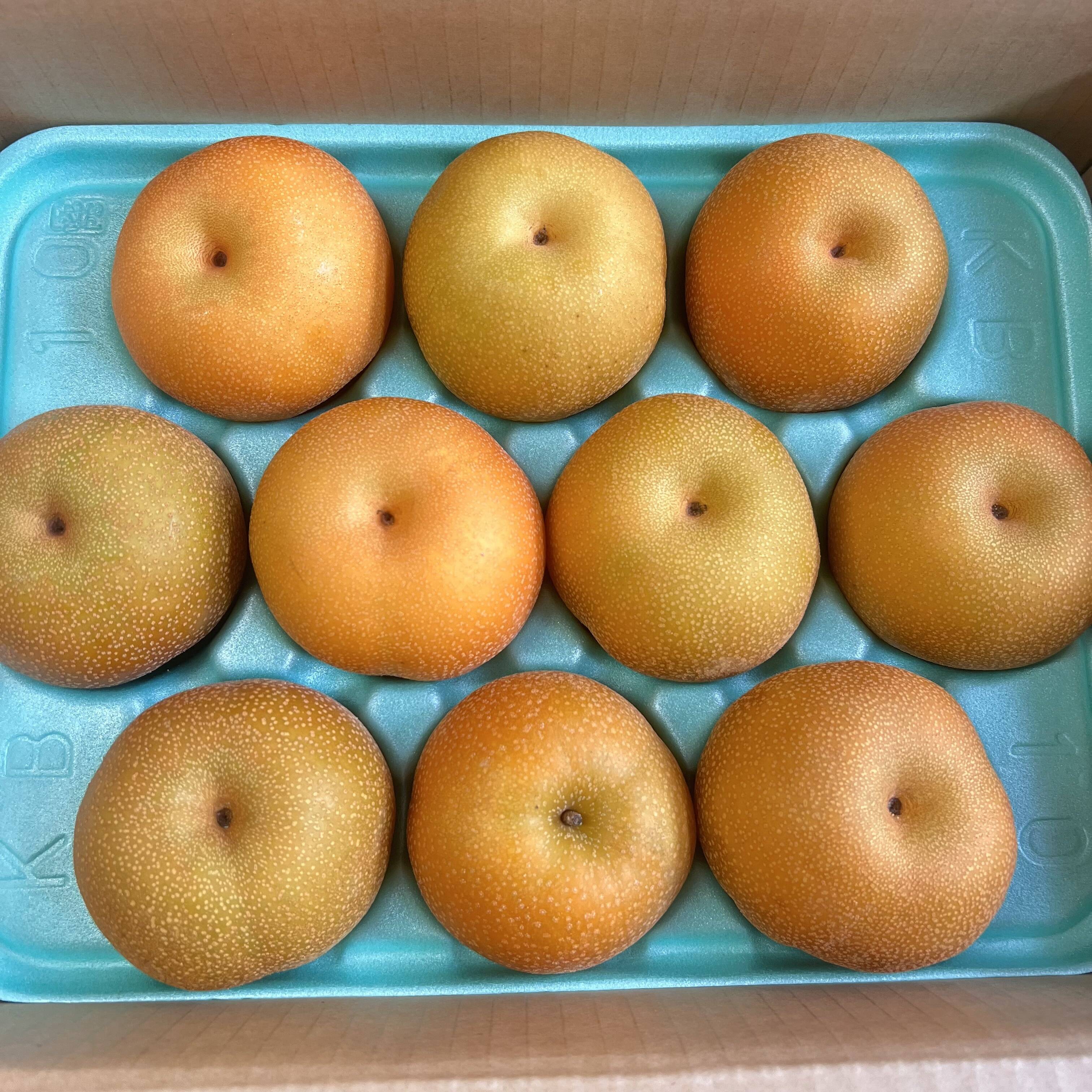 4552a3d8c97df36c4294609dfc0209