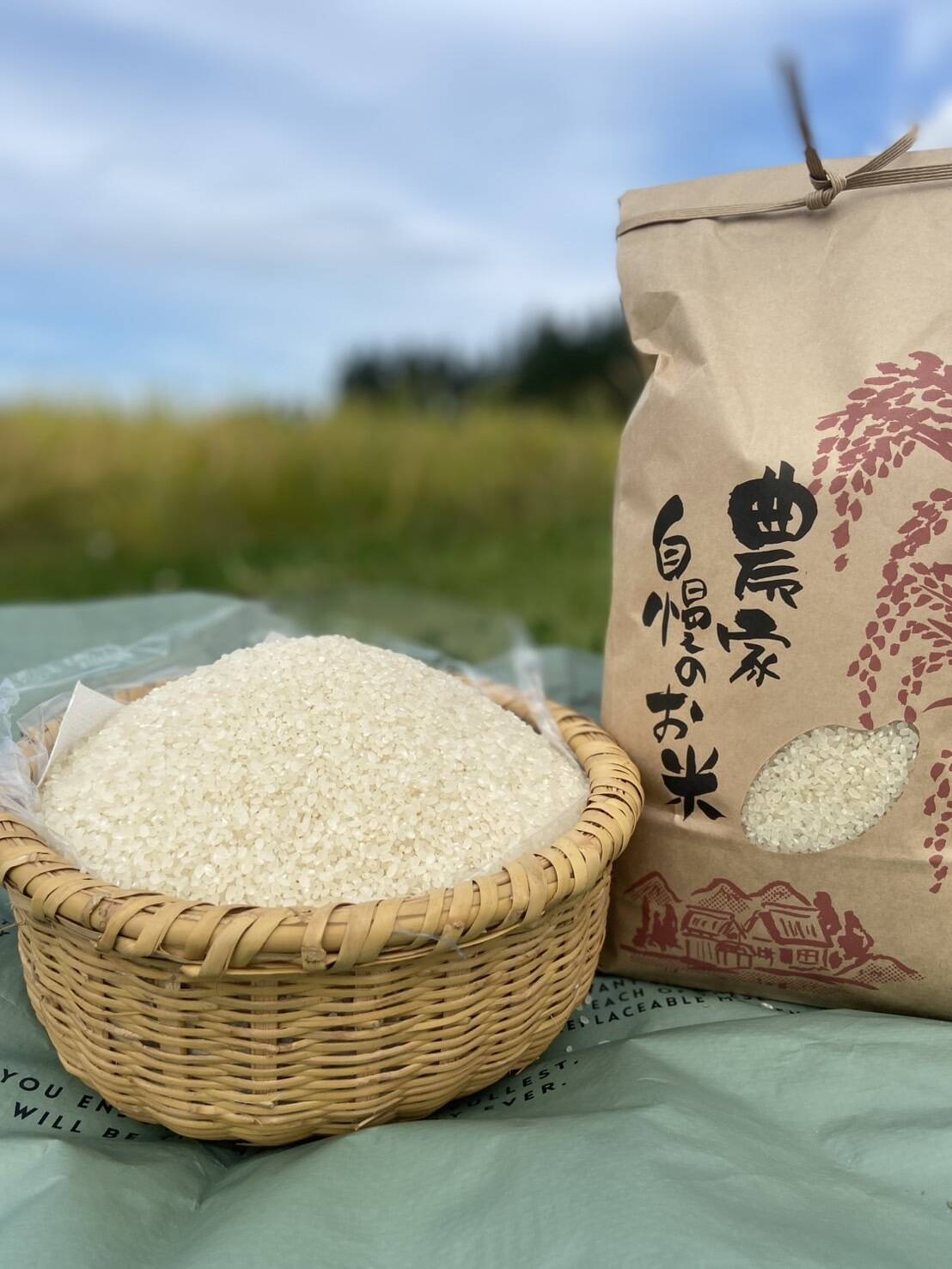 新米】令和8年魚沼産コシヒカリ白米5kg：新潟県産の加工品｜食べ