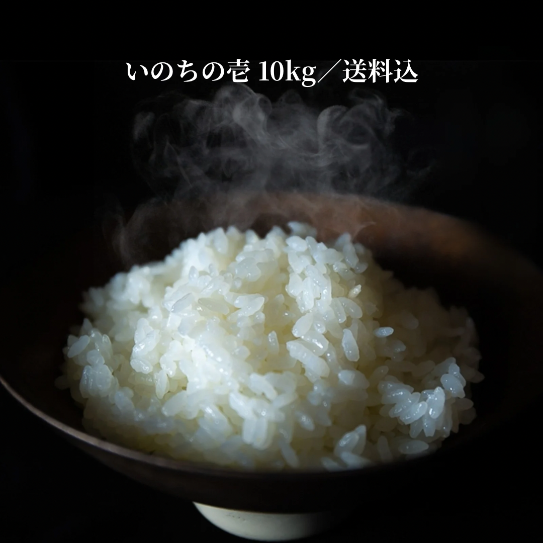 いのちの壱 精米 10kg