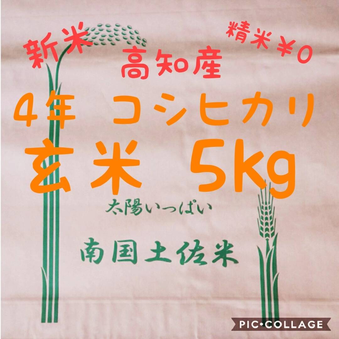 送料込み 令和4年産 高知県産 新米コシヒカリ 玄米5㎏(袋込み)：高知県産の米｜食べチョク｜産地直送(産直)お取り寄せ通販 -  農家・漁師から旬の食材を直送