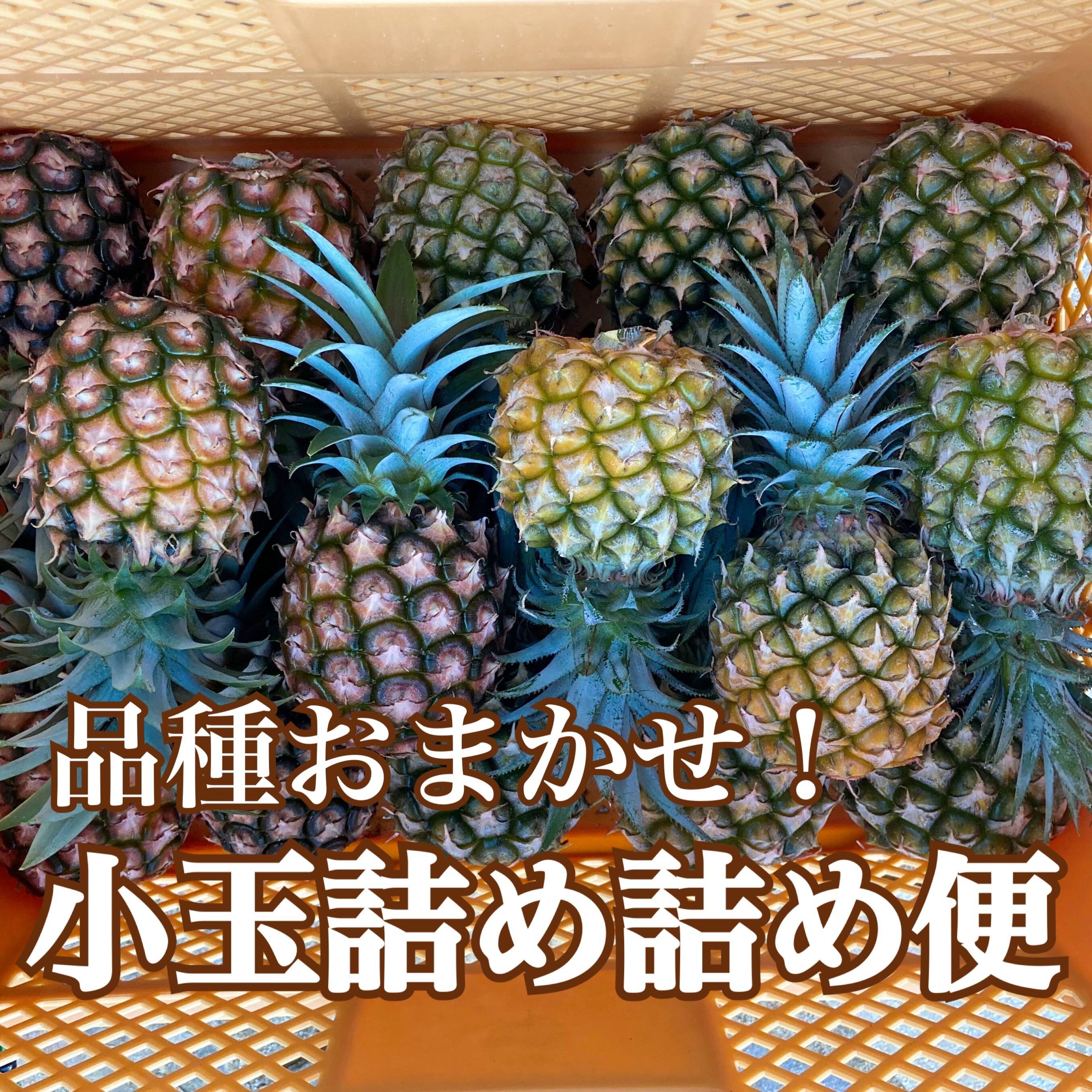 品種おまかせ！小玉詰め詰め便【中箱約3.5キロ】6〜8玉前後 石垣島