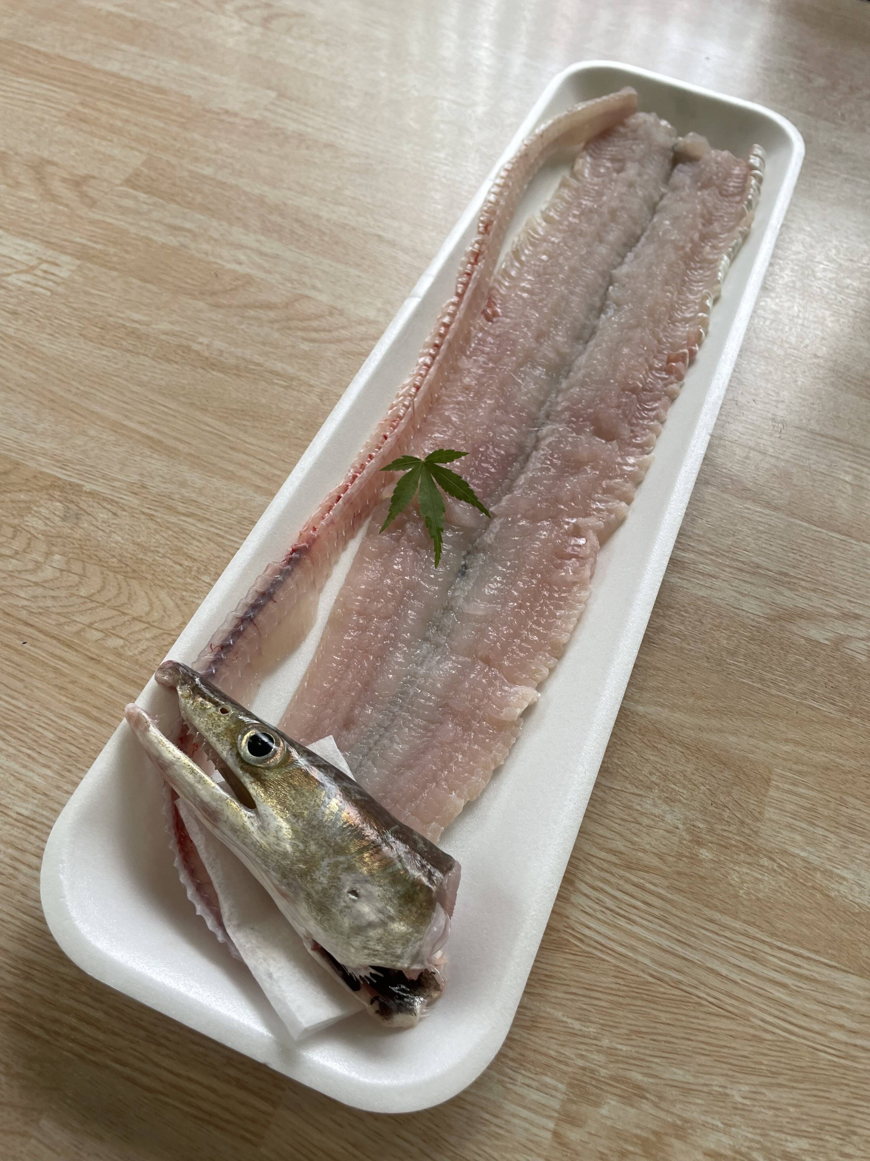 ⭐︎大阪湾産⭐︎ 絶品ハモちり 特大サイズ800g以上：大阪府産のハモ 