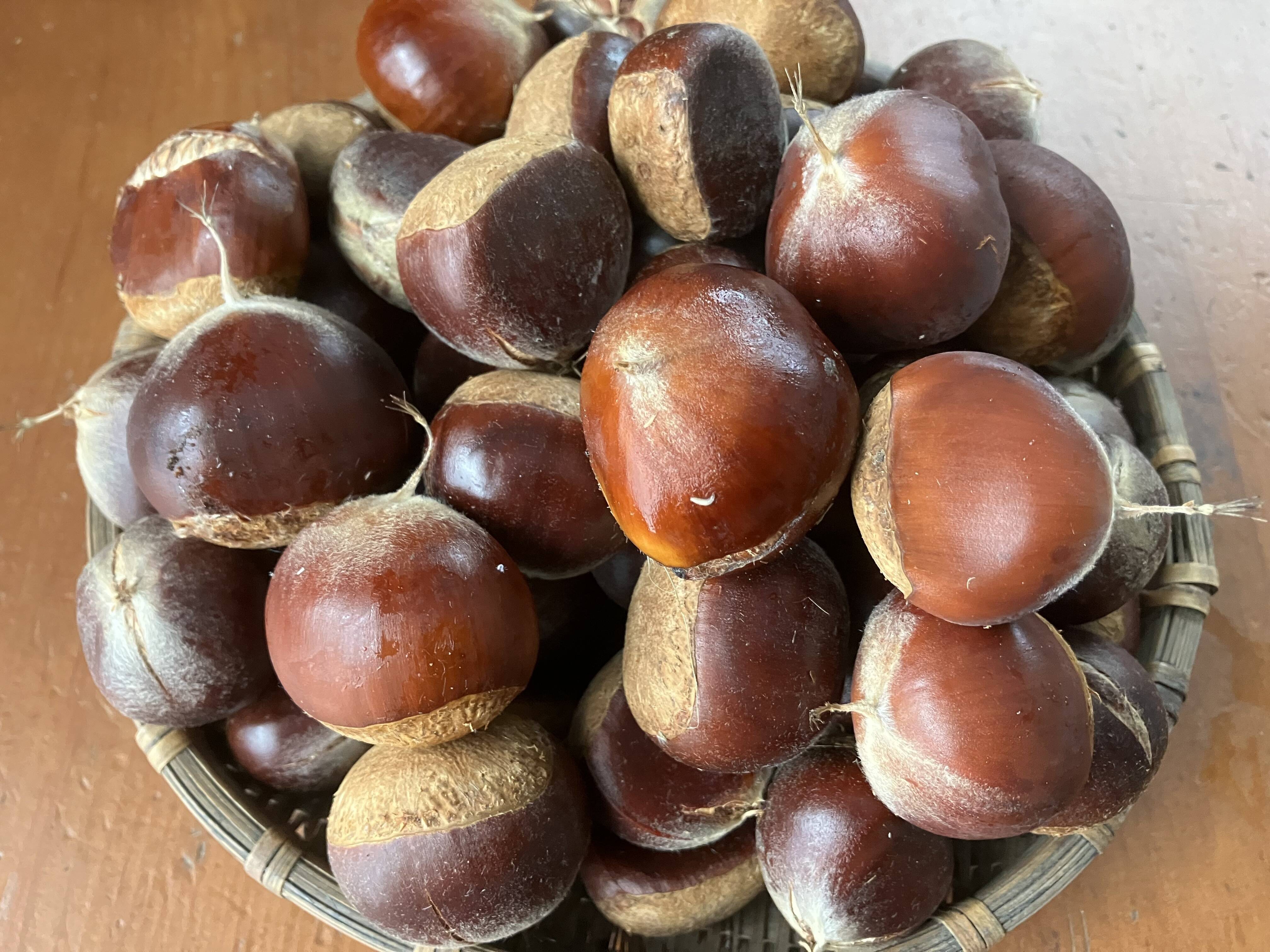 46455a97566e60e828693cdf65aca4