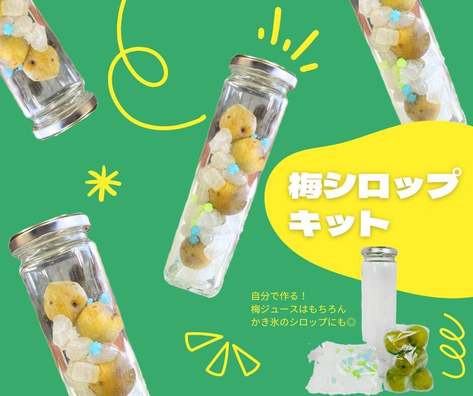 自然の美味しい梅ジュースの素（梅シロップ)x10 自然の美味しい梅ジュースの素（梅シロップ)x10 楽天市場】梅