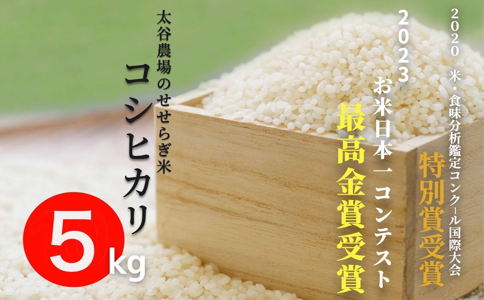 2023お米日本一コンテスト【特別最高金賞】白馬産コシヒカリ5