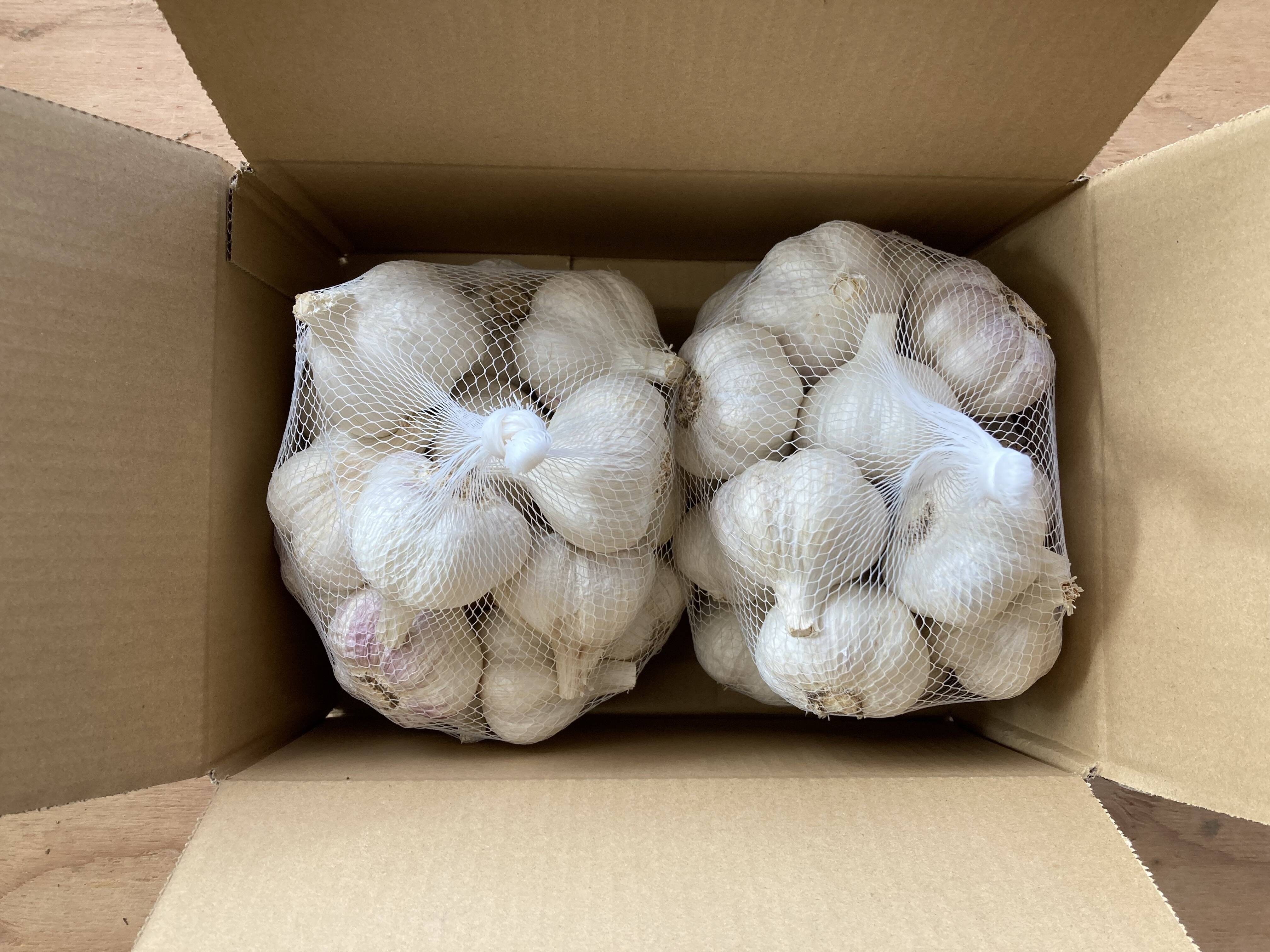 Today 乾燥済み4kg 本年度 初物 大分県産 にんにく ニンニク4.8kg：大分県産のその他ニンニク｜食べチョク｜産地