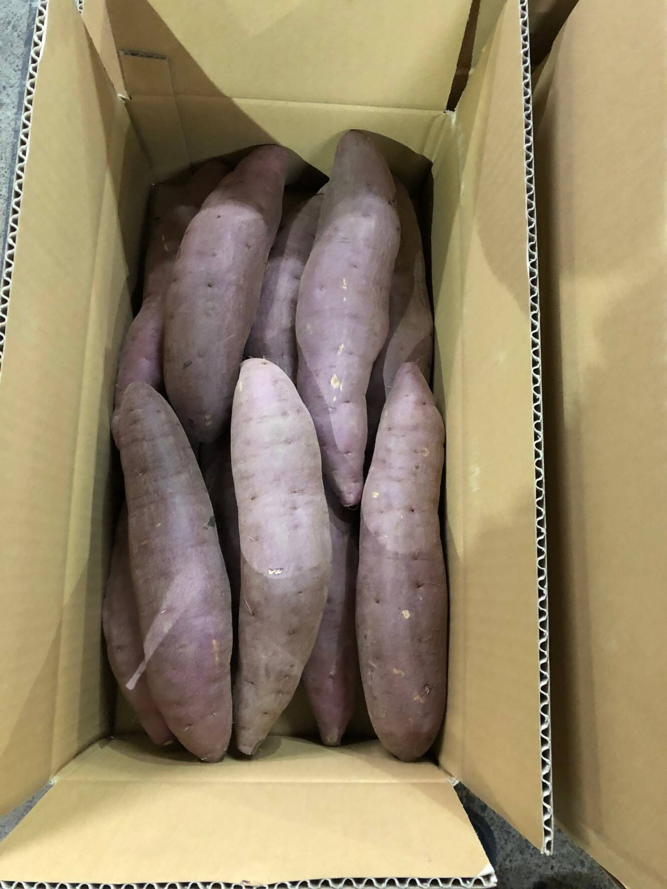 宮崎さつまいもホクホクタイプ! 約10ｋｇ6０個前後 送料お得！ホクホクで栗みたいな甘さ！熟成さつまいも(10kg) 2L