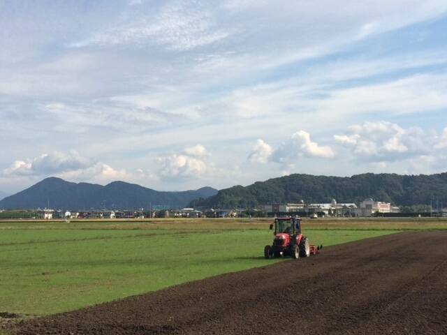 徳橋農場へのレビュー・商品：福井県｜食べチョク｜産地直送(産直)お