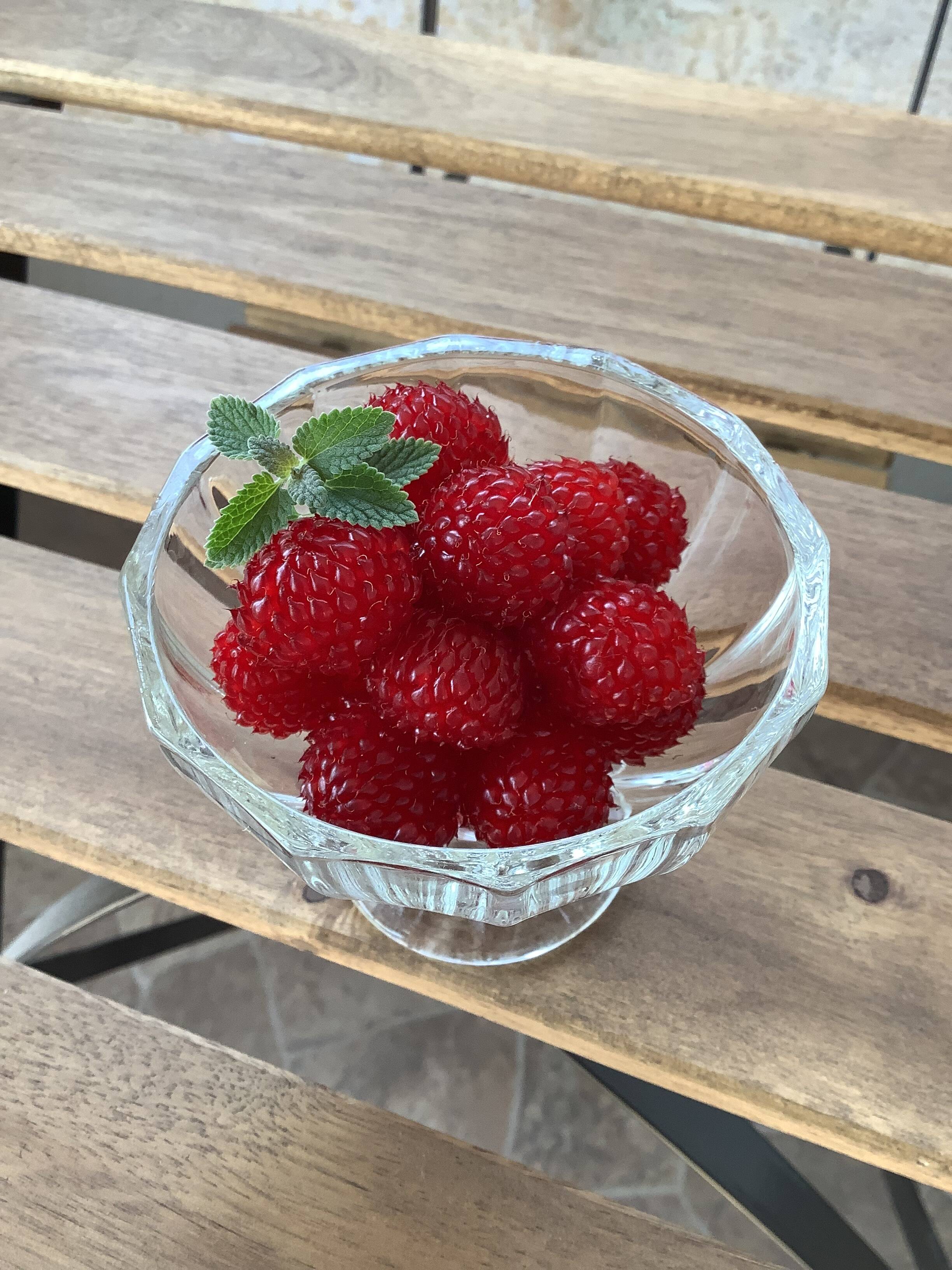 風味絶妙。冷凍ラズベリー10キロ(農薬：栽培期間中不使用) 栽培期間中農薬不使用】冷凍ウルトララズベリー400g：愛知県産の