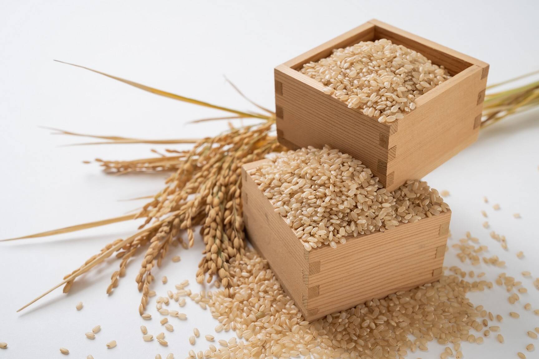 新米令和5年度産玄米】🌾長崎県認定特別栽培米ひのひかり30㎏🌾宮下