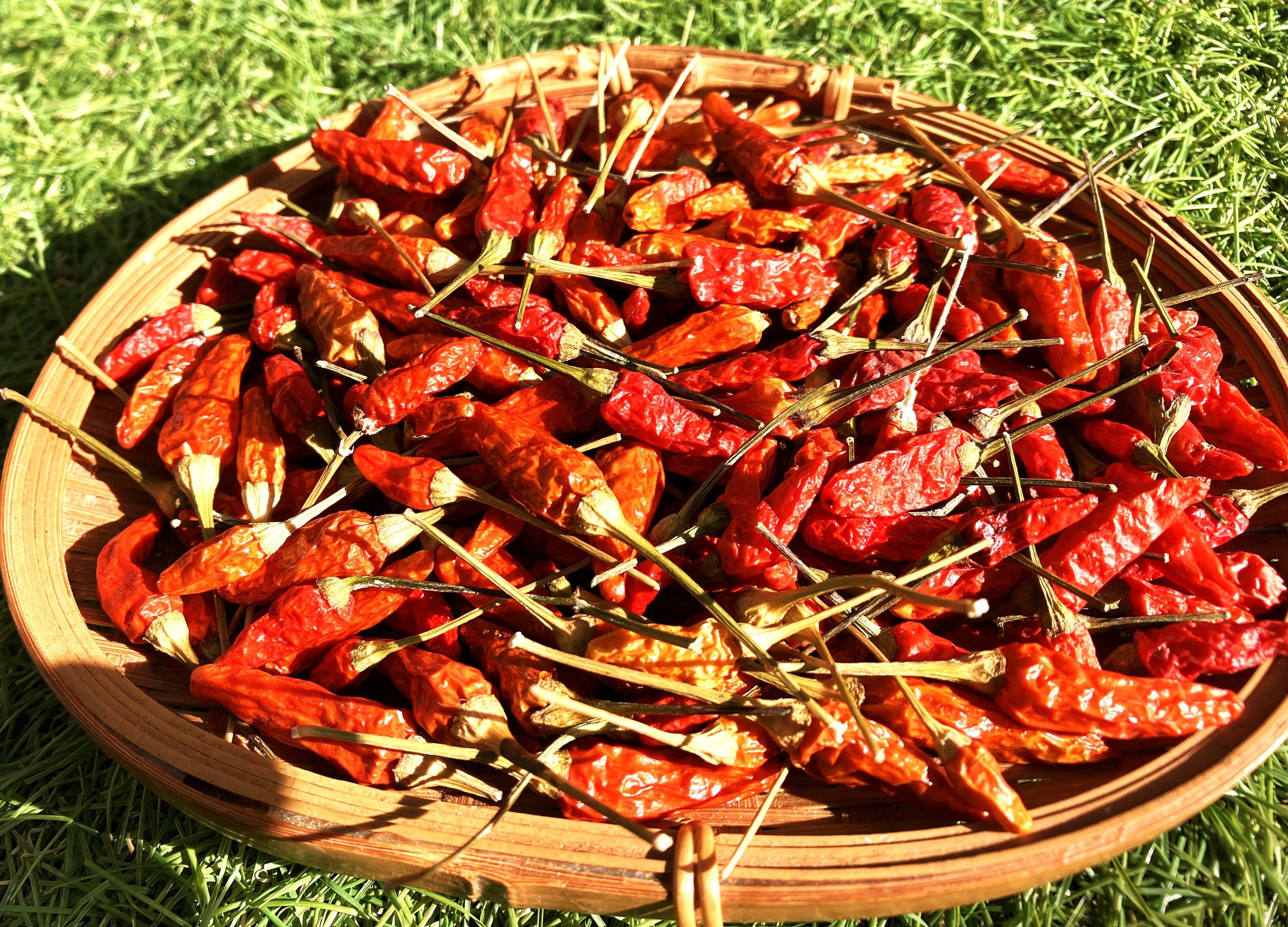 人気No.1【沖縄特産】激辛！乾燥島とうがらし 20g：沖縄県産の加工品