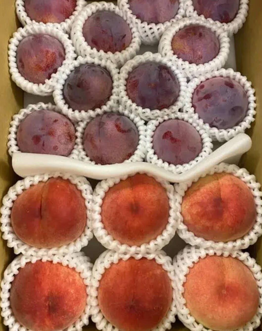 ≪予約受付≫一度は食べてみて！すももの王様 【貴陽】と桃