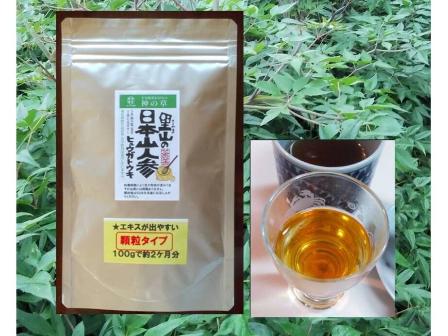 日本山人参（ヒュウガトウキ）（顆粒タイプ）お茶だし専用、 農薬化学