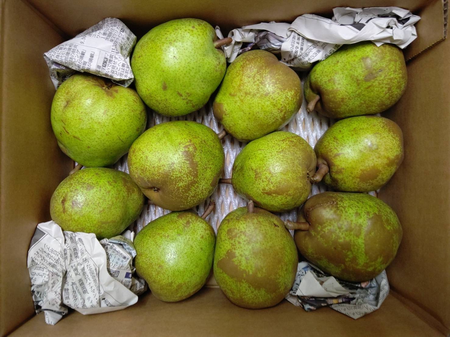 4726b914c0b3ee737893a2a904be67