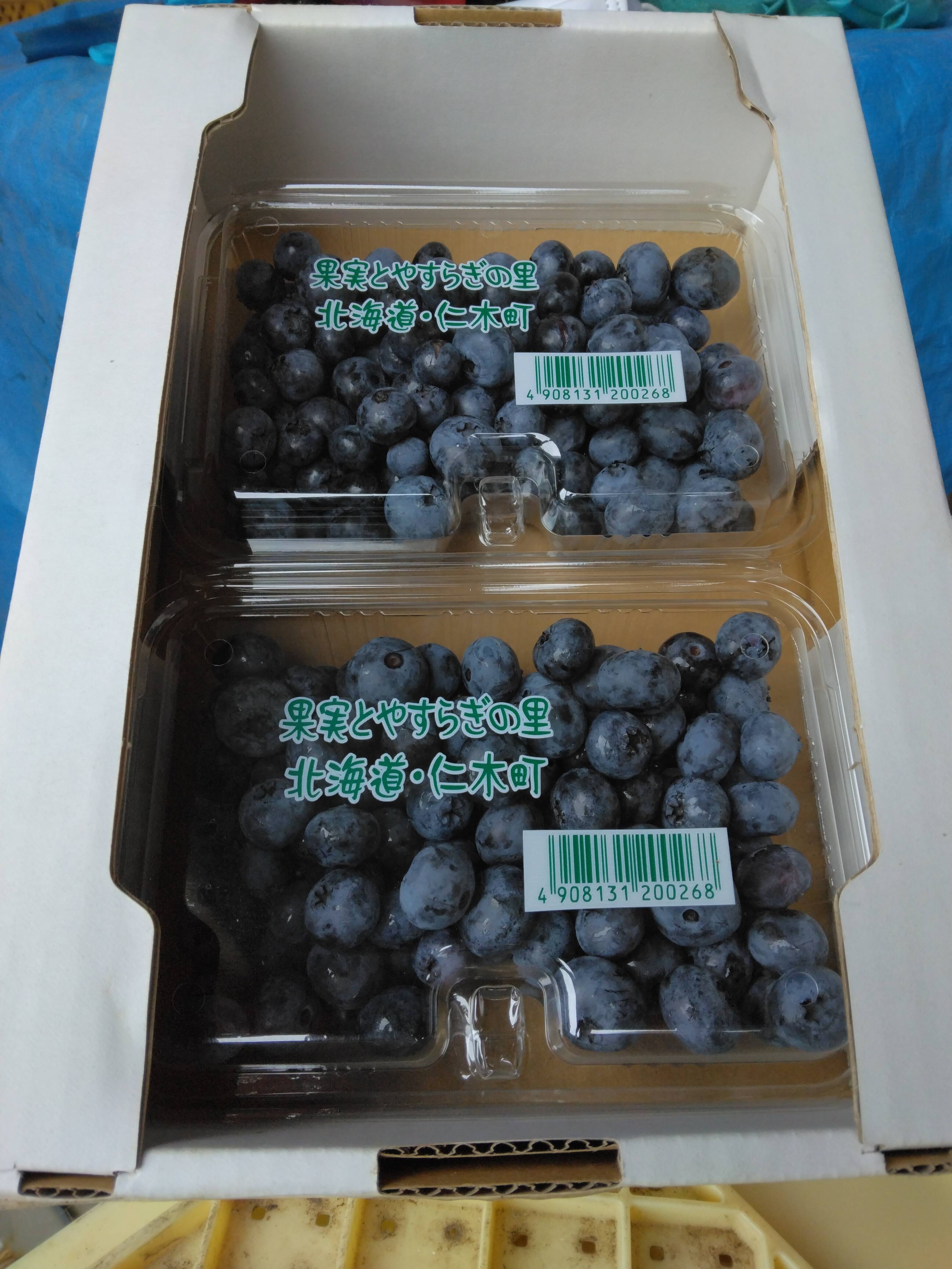 生ブルーベリー　1キロ 朝採り 生ブルーベリー 1kg（250g×4P）：北海道産の