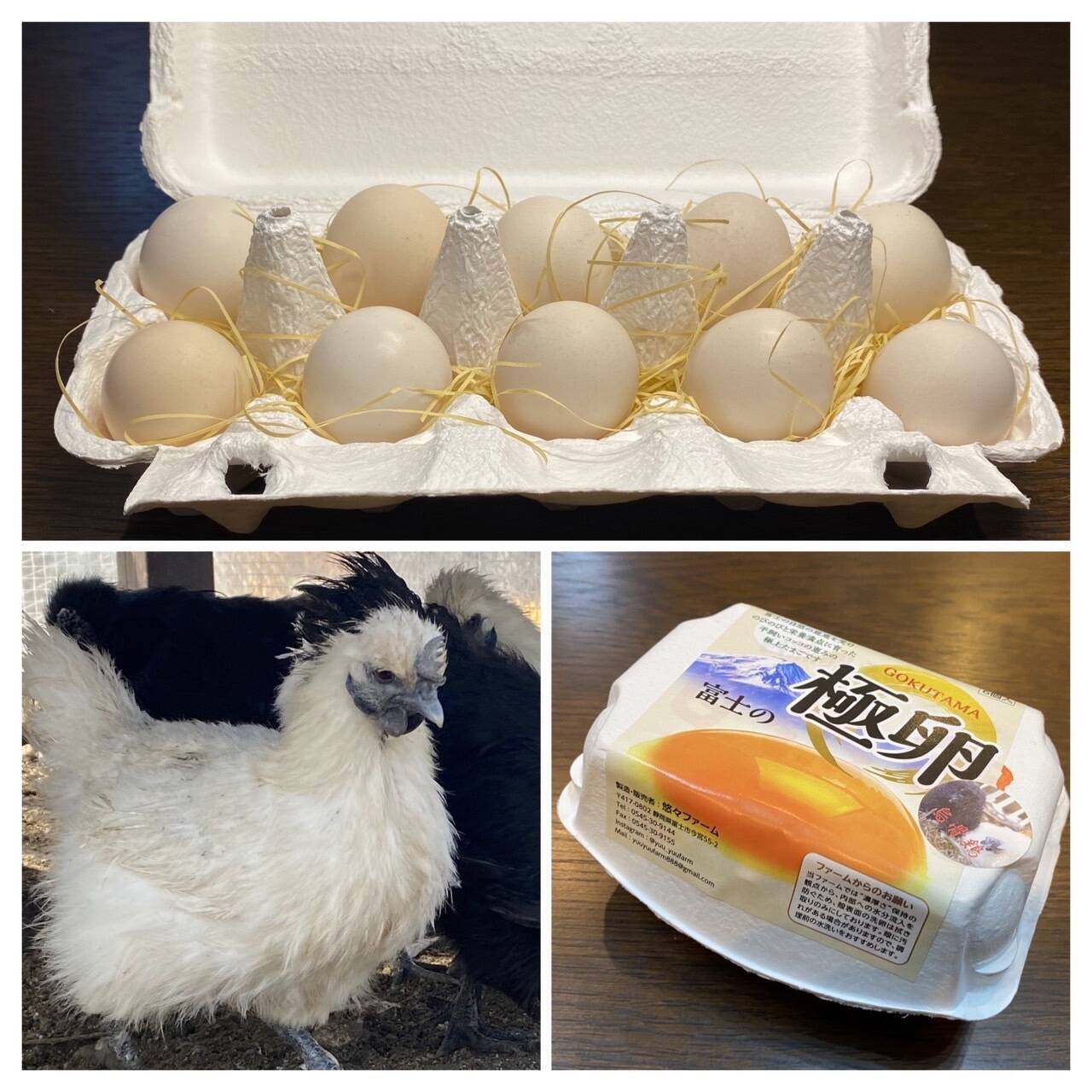 栄養満点大特価】烏骨鶏(漢方鶏)の卵24個【富士の極卵】DHA/EPAは青魚 