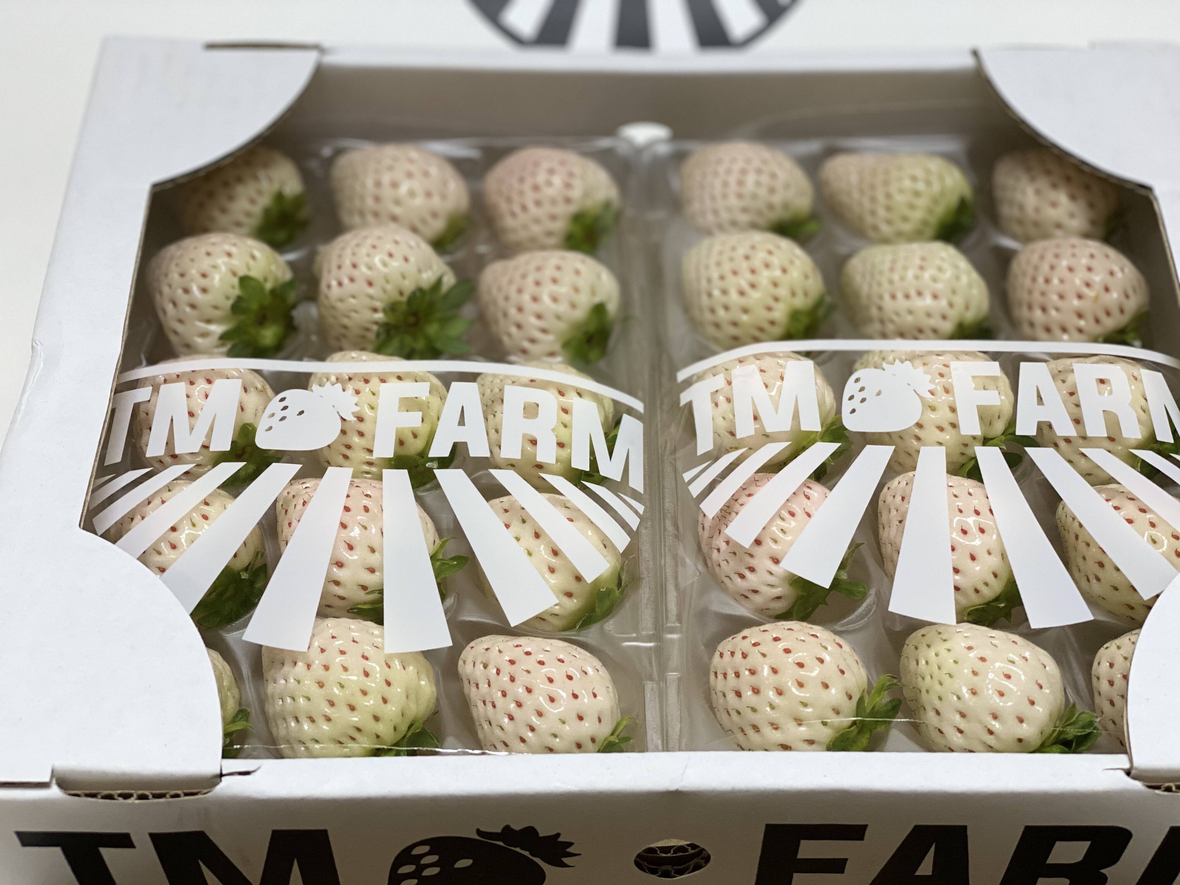 日にち指定可能】天使のいちご®︎250g×2パック 白いちご！！：佐賀県